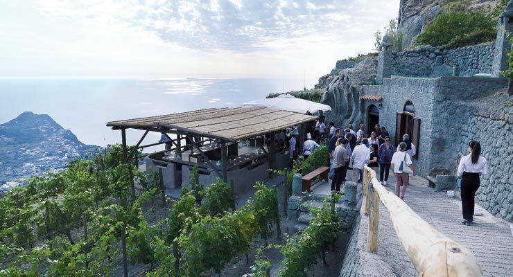 Ischia: 3 Hours Wine Tasting Experience, Vineyards & Pick-up - Photo 3