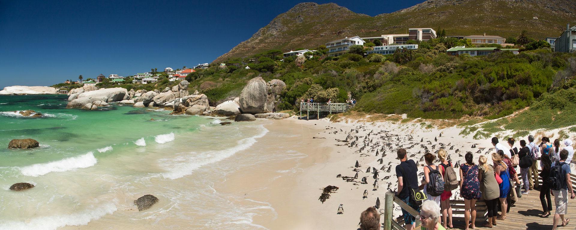 CAPE TOWN, NELSON MANDELA GATEWAY & CAPE PENINSULA PENGUIN TOUR - Photo 4