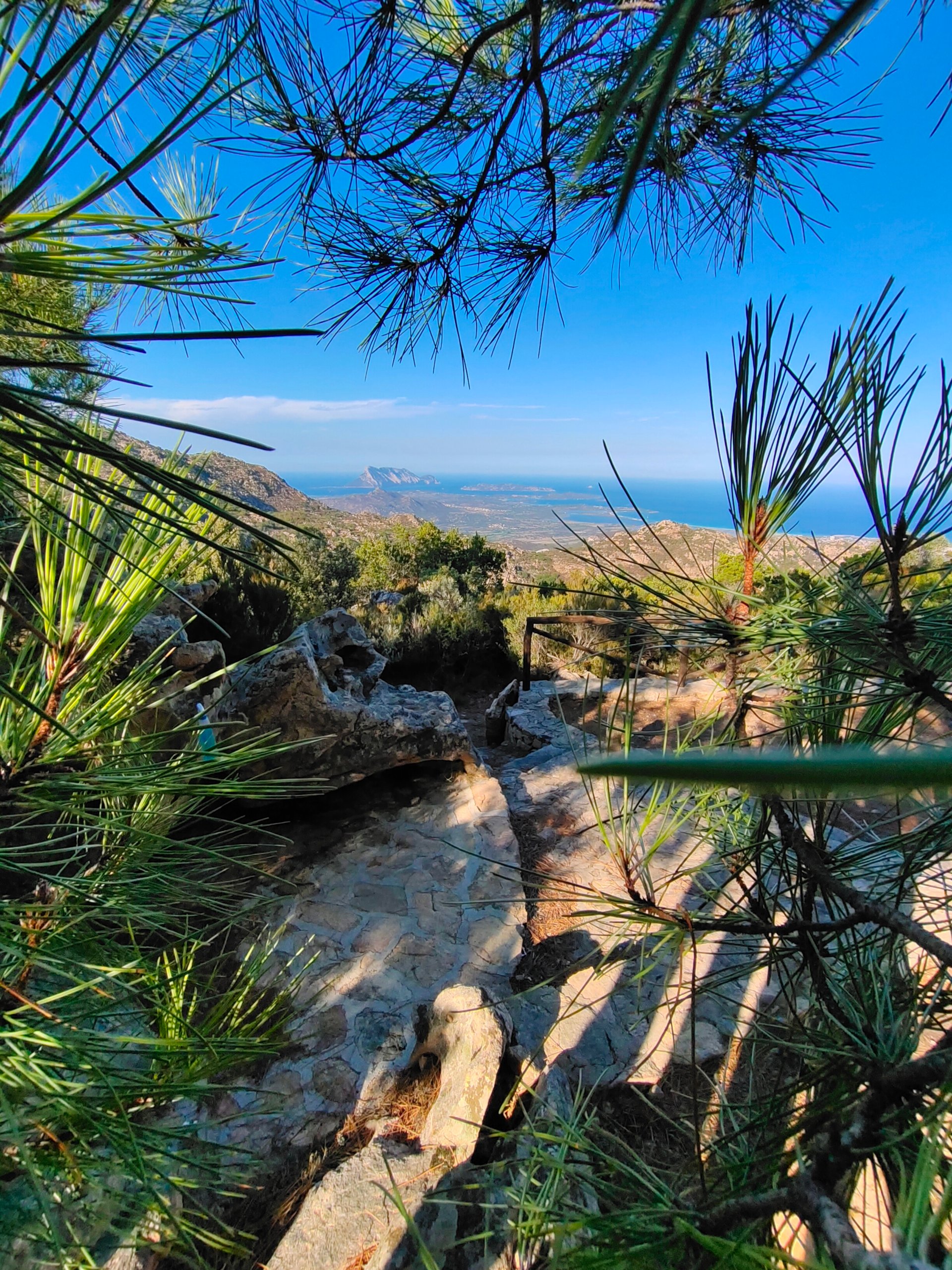 From San Teodoro: jeep tour to Rio Pitrisconi - Photo 13