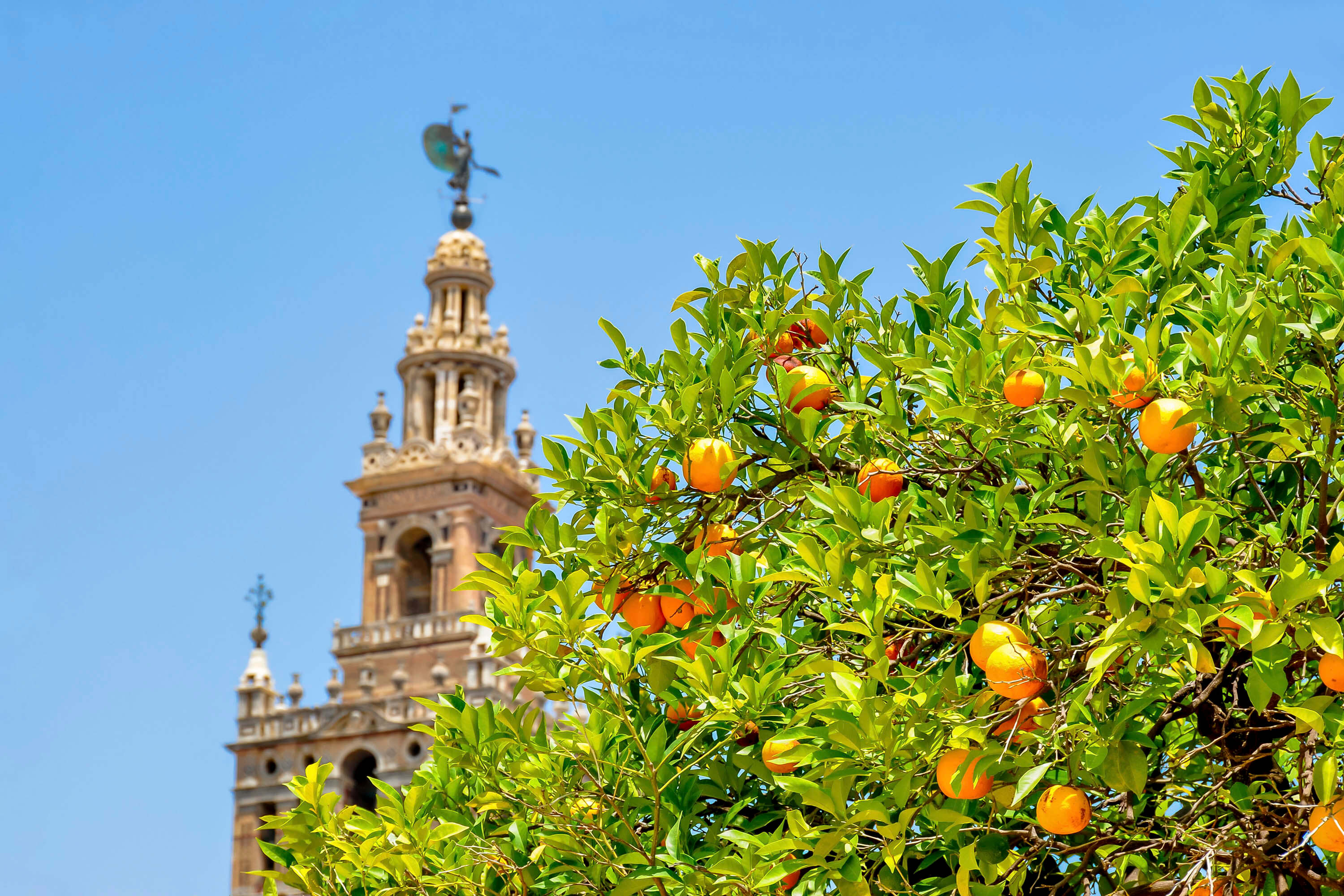 Seville Cathedral Smartphone Audio Guide (NOT AN ENTRY TICKET)