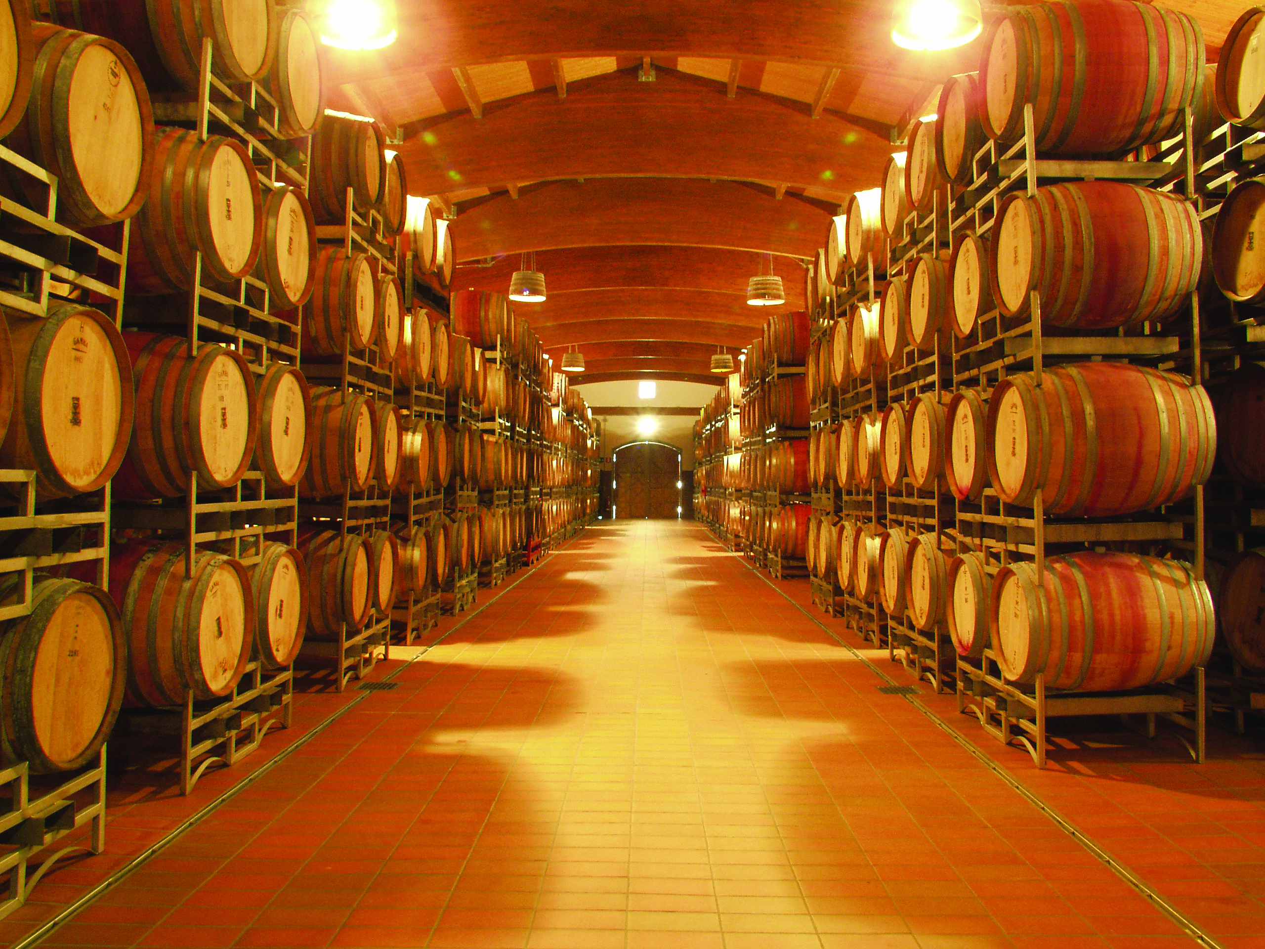 Brunello di Montalcino Wine tour from San Gimignano  - Photo 8