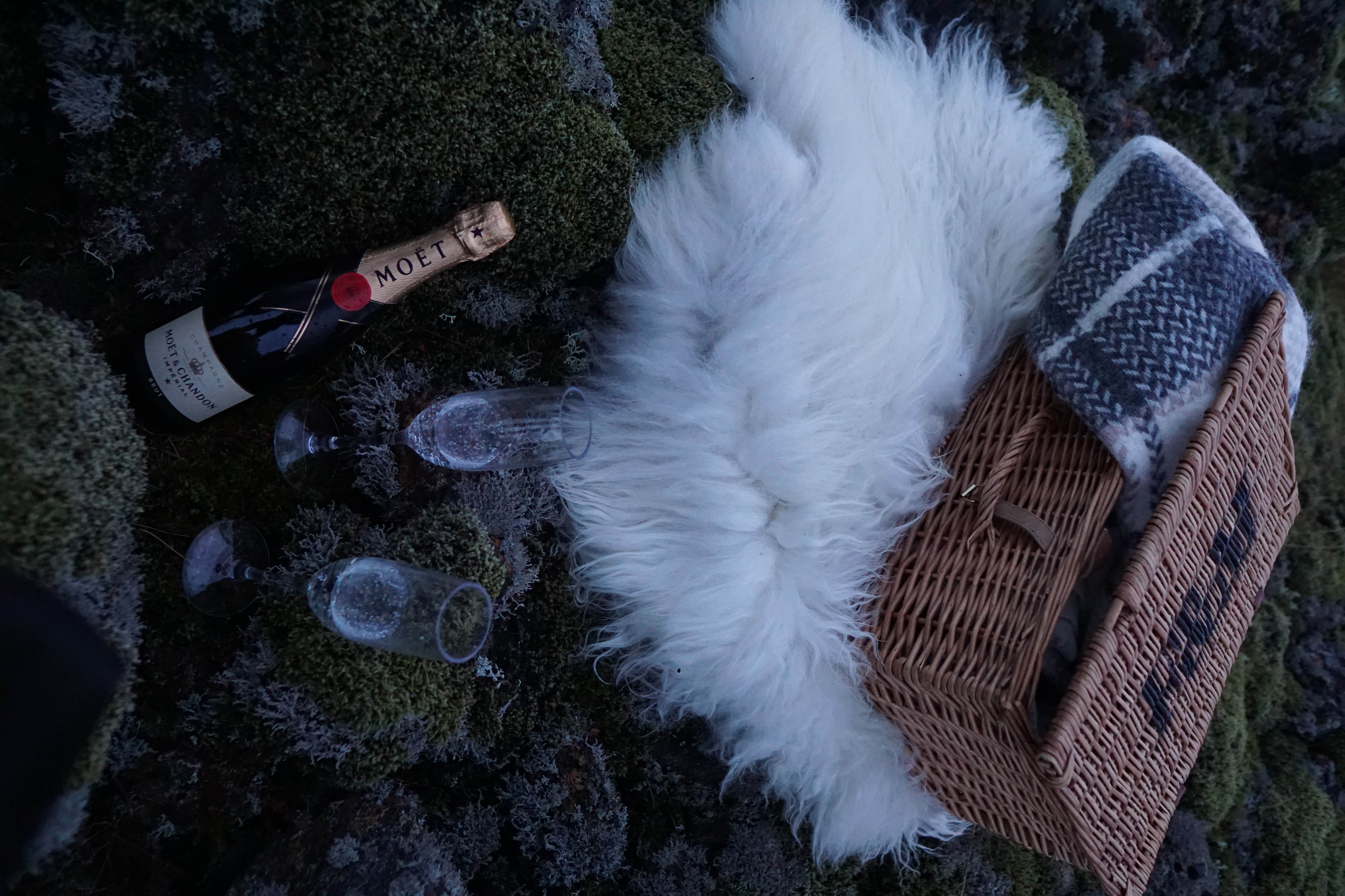 Bubbles and Bliss - photo 4