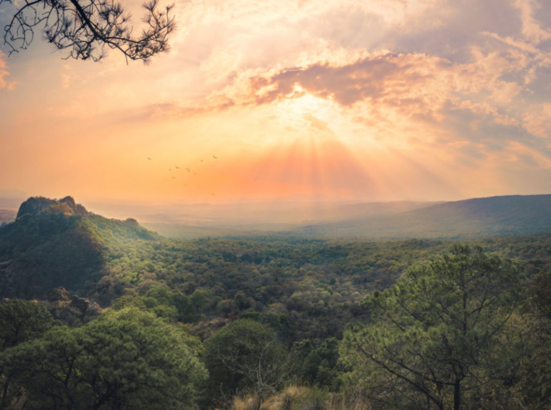 Tour Cuernavaca: descubre las joyas del Estado de la Eterna Primavera (4 días) — 7/7