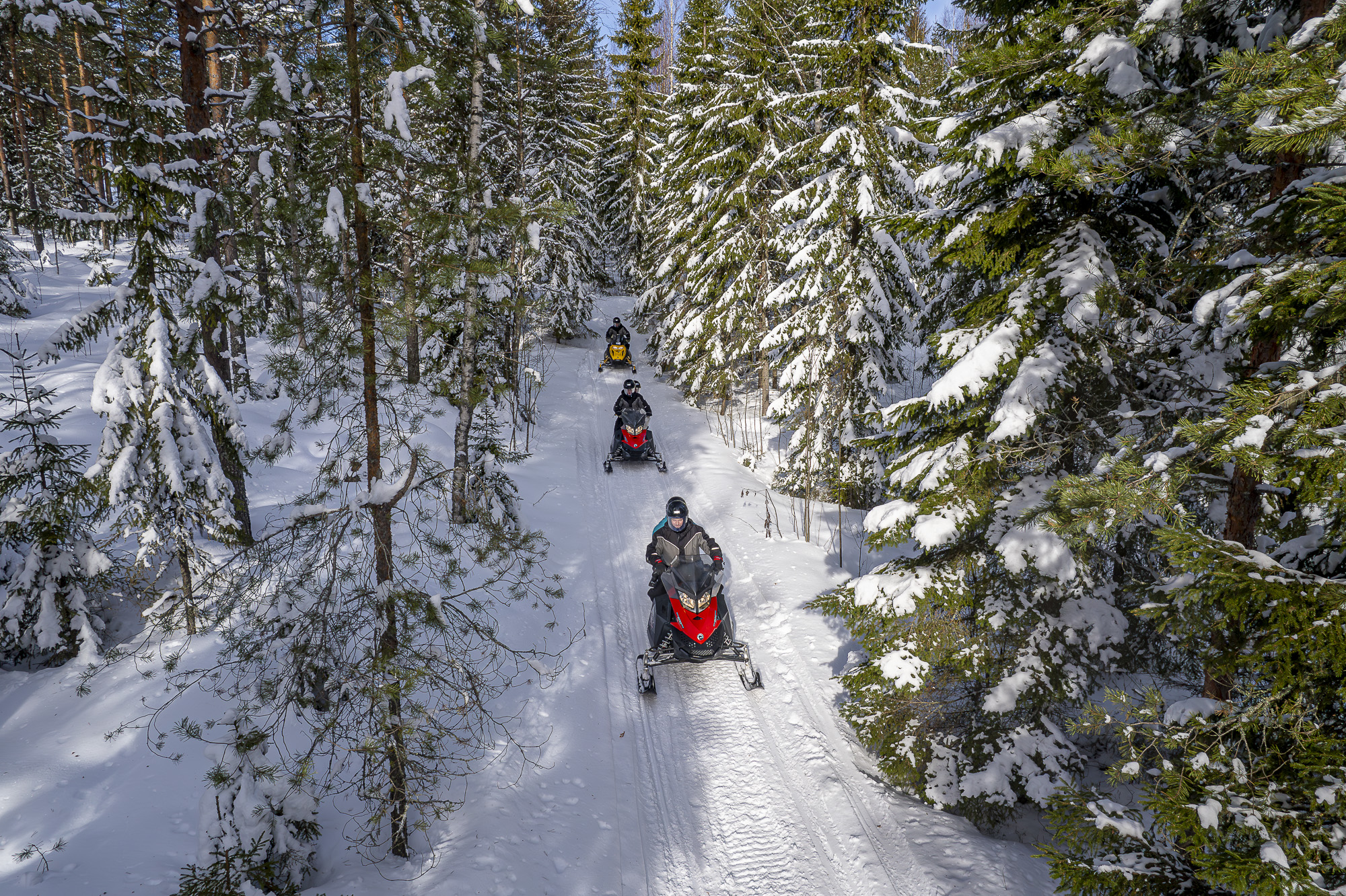 Safari en moto de nieve de 2 horas en el bosque y las colinas de Lakeland - Foto 5