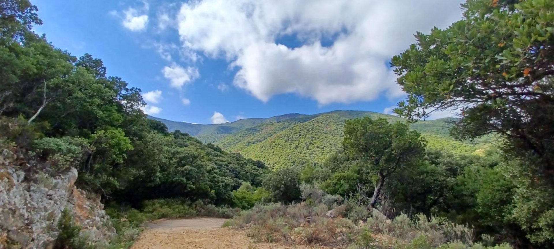 Castiadas: trekking in the S'Acqua Callenti forest - Photo 22