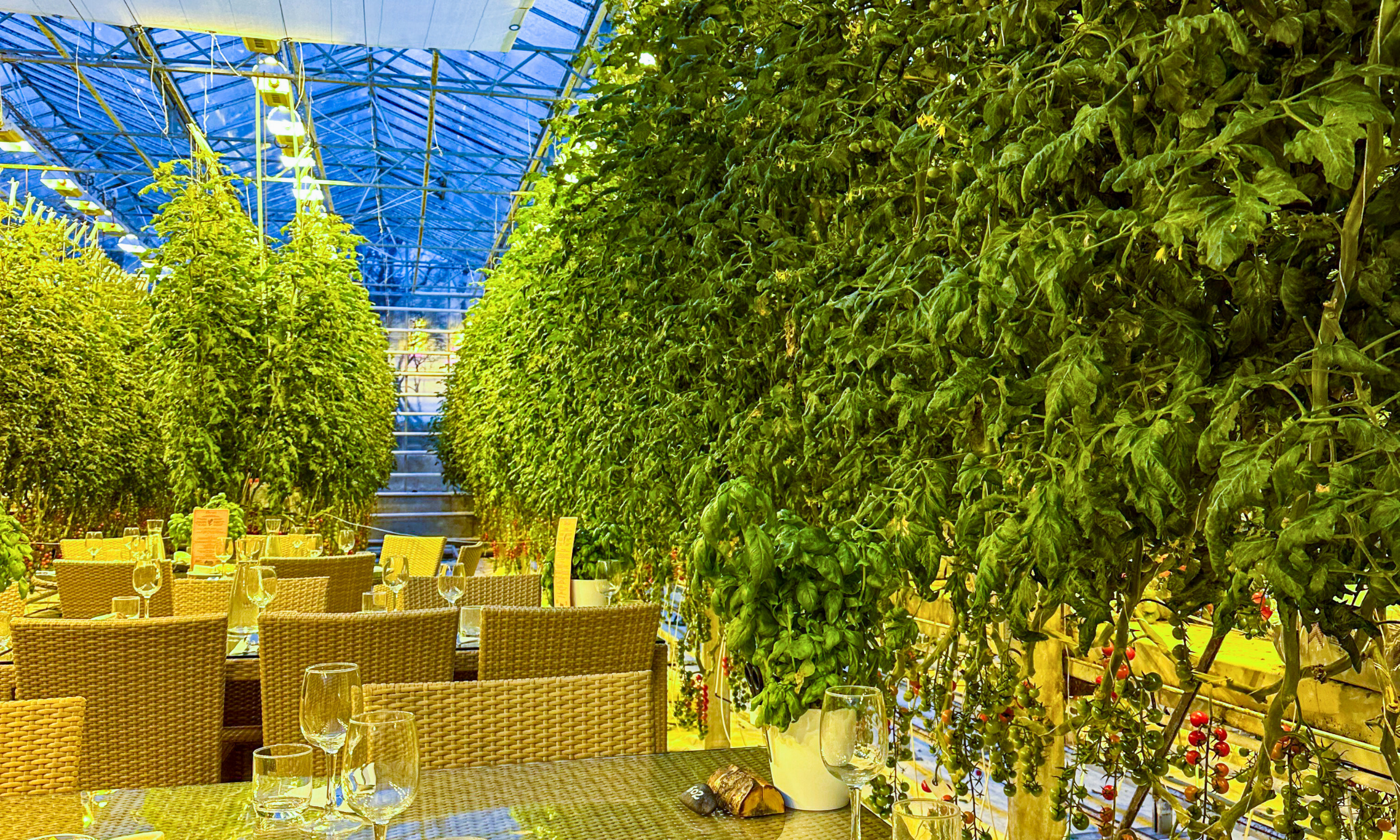 Private Golden Circle Classic Tour with Kerið Crater and Friðheimar Tomato Farm - photo 15