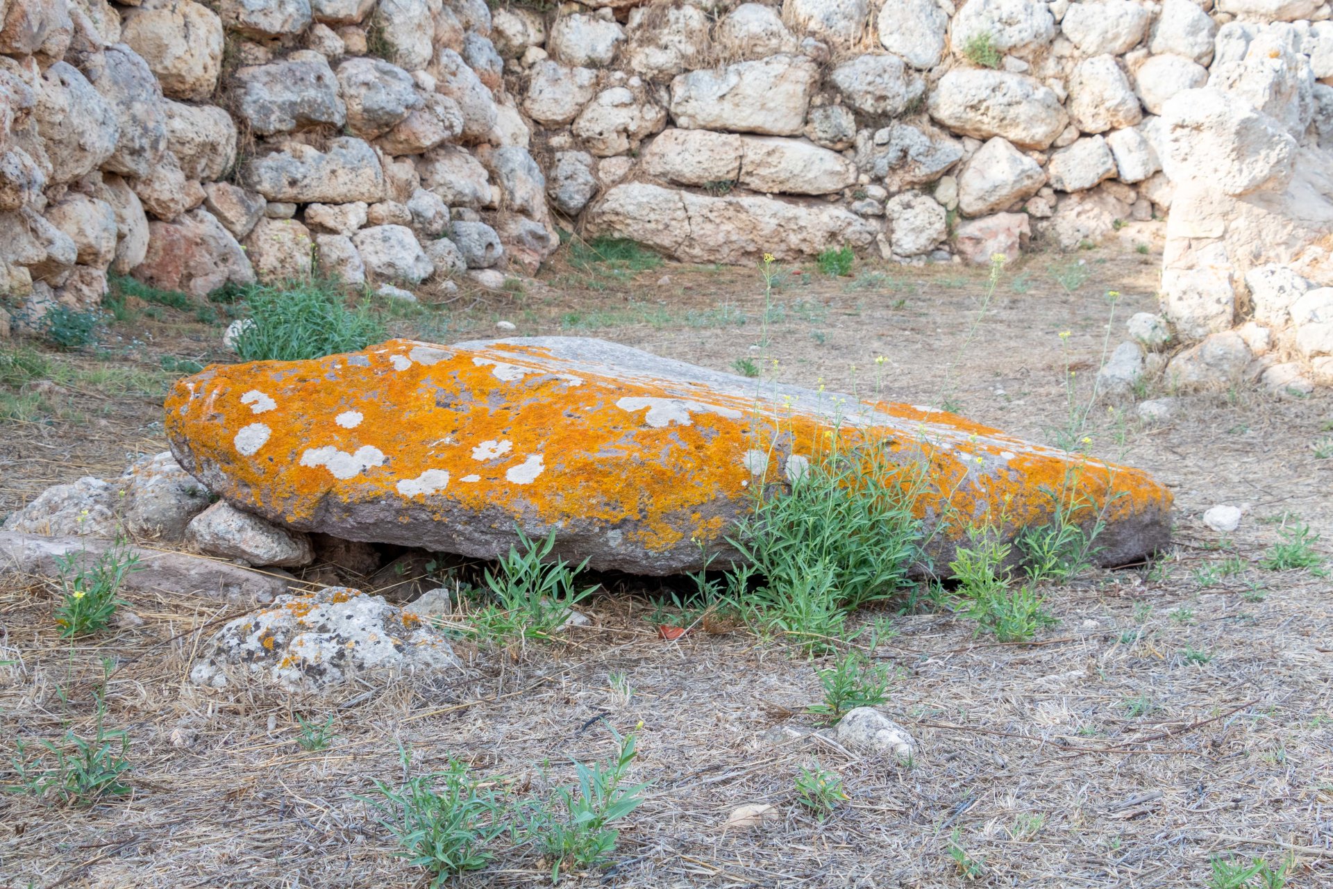 Porto Torres: archaeological tour in Monte d'Accoddi and Su Crucifissu Mannu - Photo 9