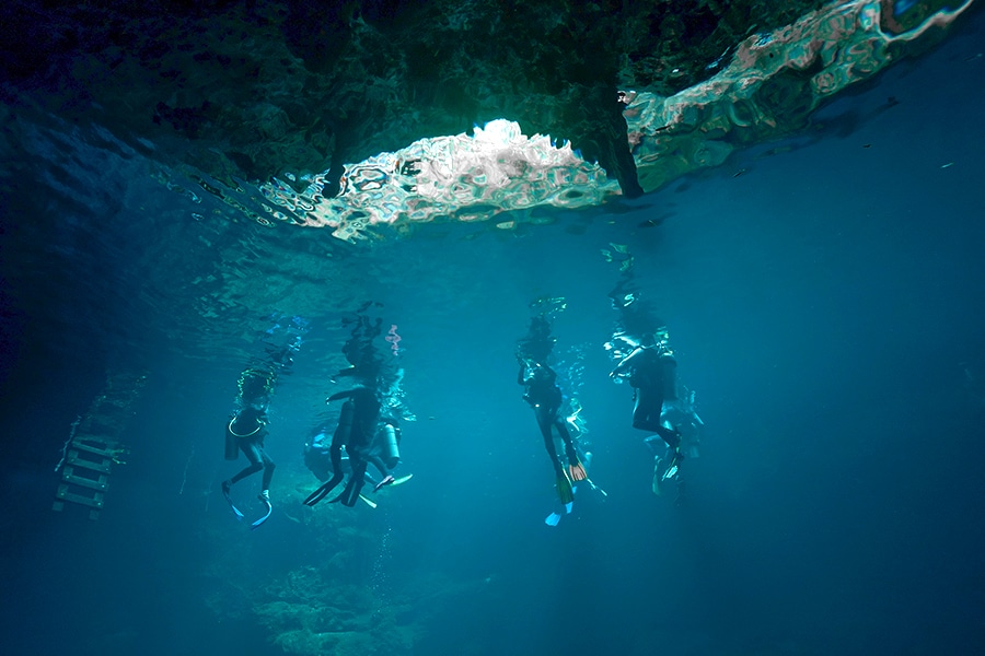 Excursión a Tulum y Cenote dos ojos 4