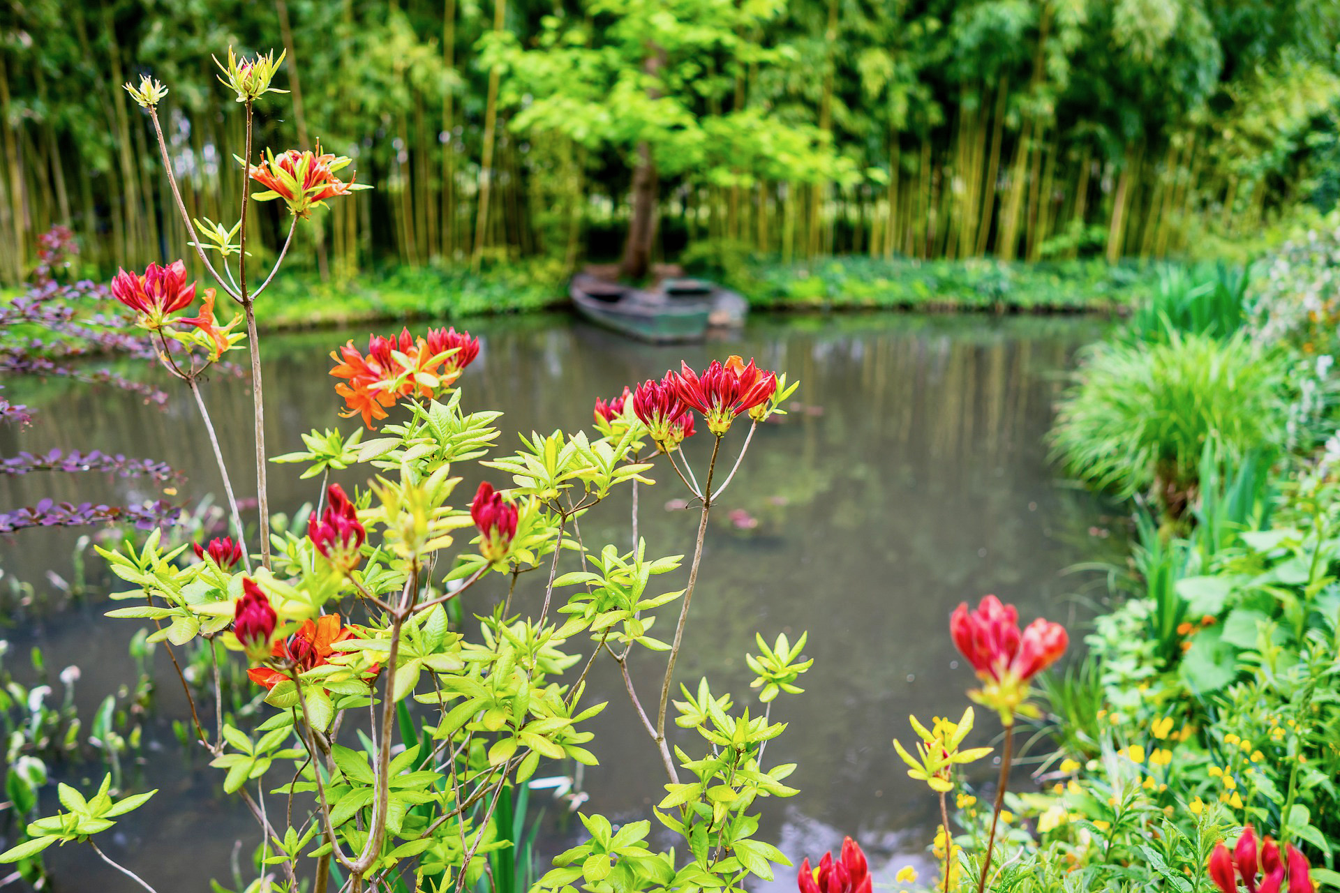 3-day Private D-Day, Giverny, Honfleur, Rouen, Mont Saint-Michel Trip by Minivan. - Photo 63