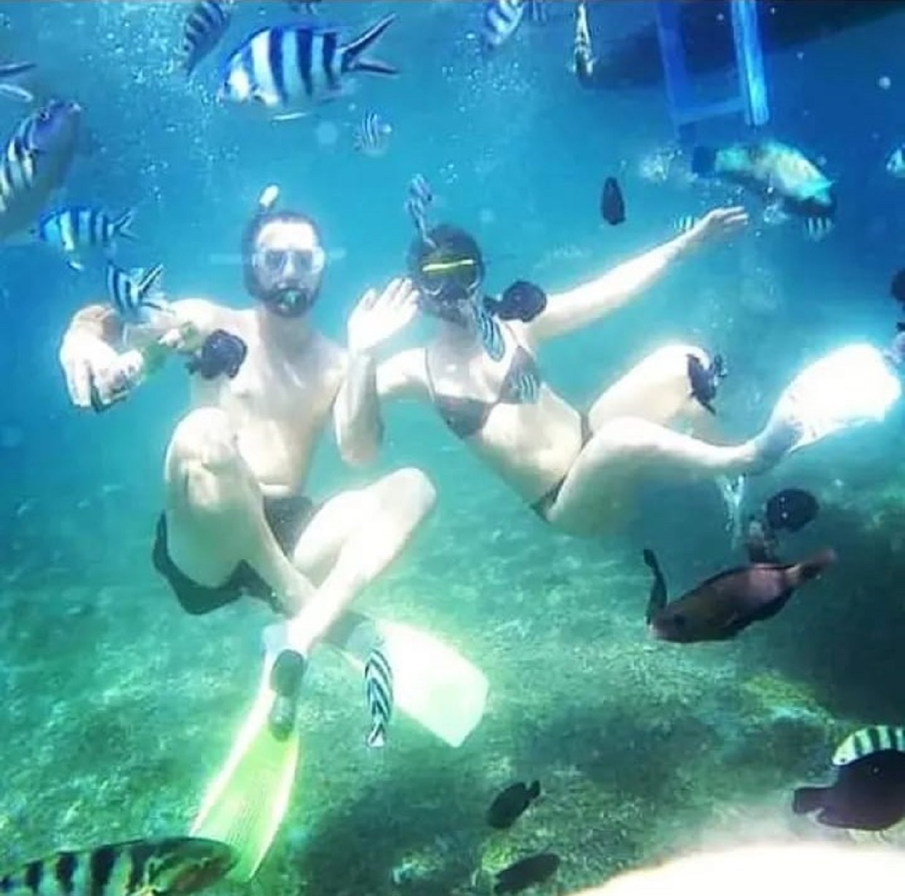 5 Hours Bali Blue Lagoon Snorkeling Tour Including Tanjung Jepun – photo 6