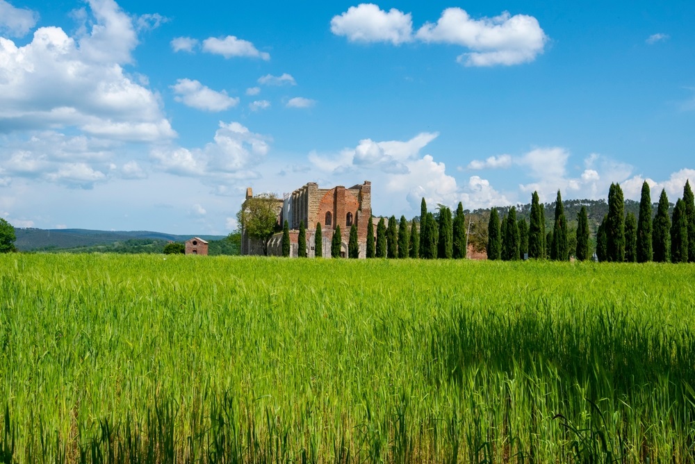 Discovering Tuscany's hidden treasures: San Gimignano, Volterra and San Galgano mysterious Abbey day trip from Florence - Photo 12