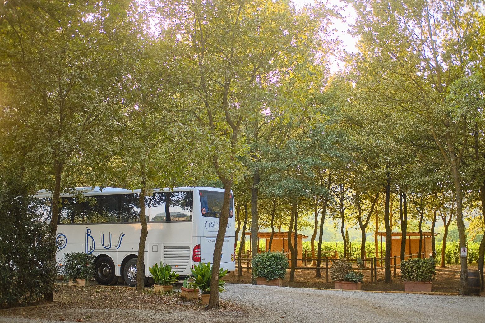 Small-Group Winery Tour with Tasting and Dinner in Chianti - Photo 72
