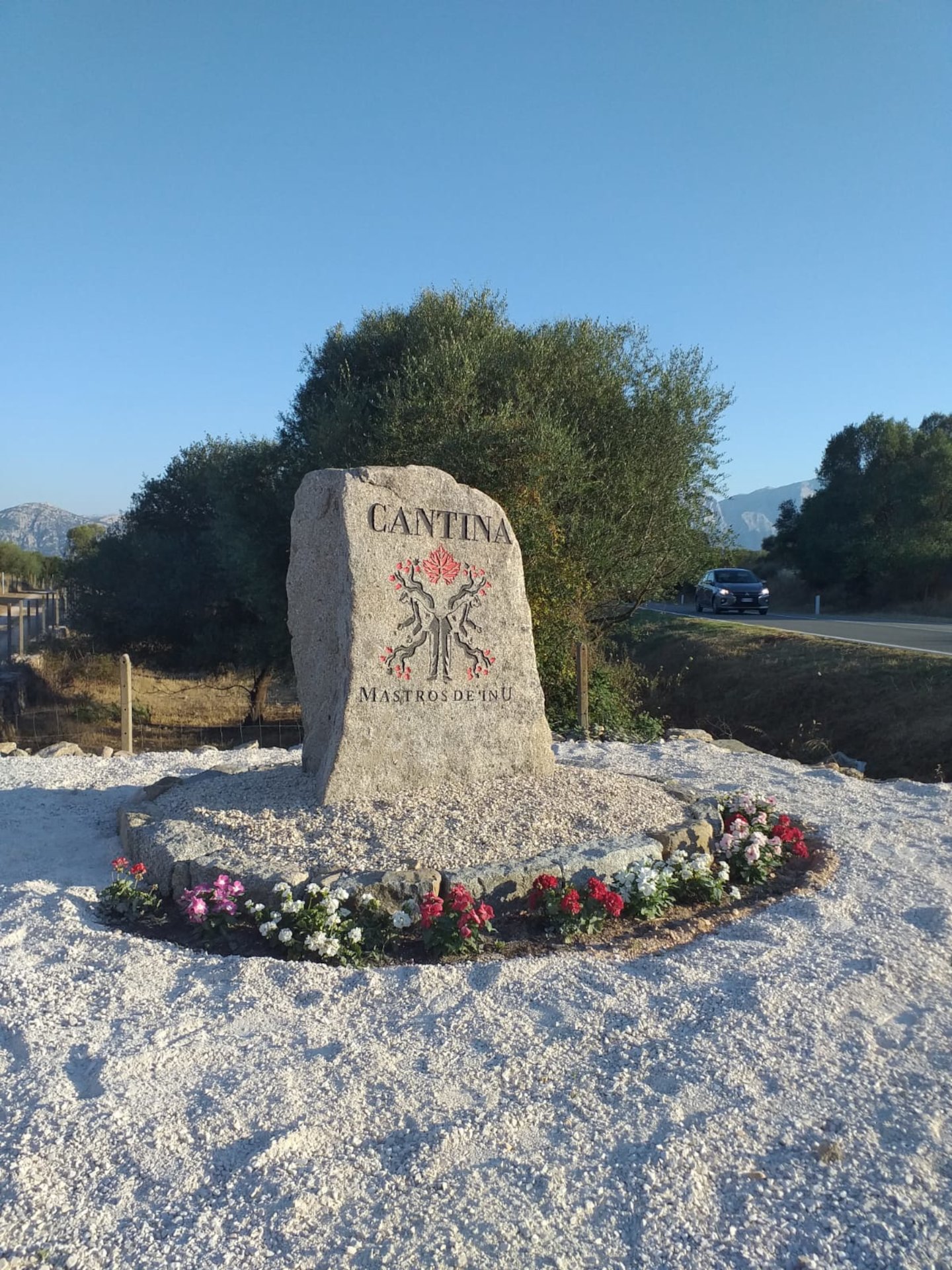 Dorgali: visit of a winery with tasting - Photo 16