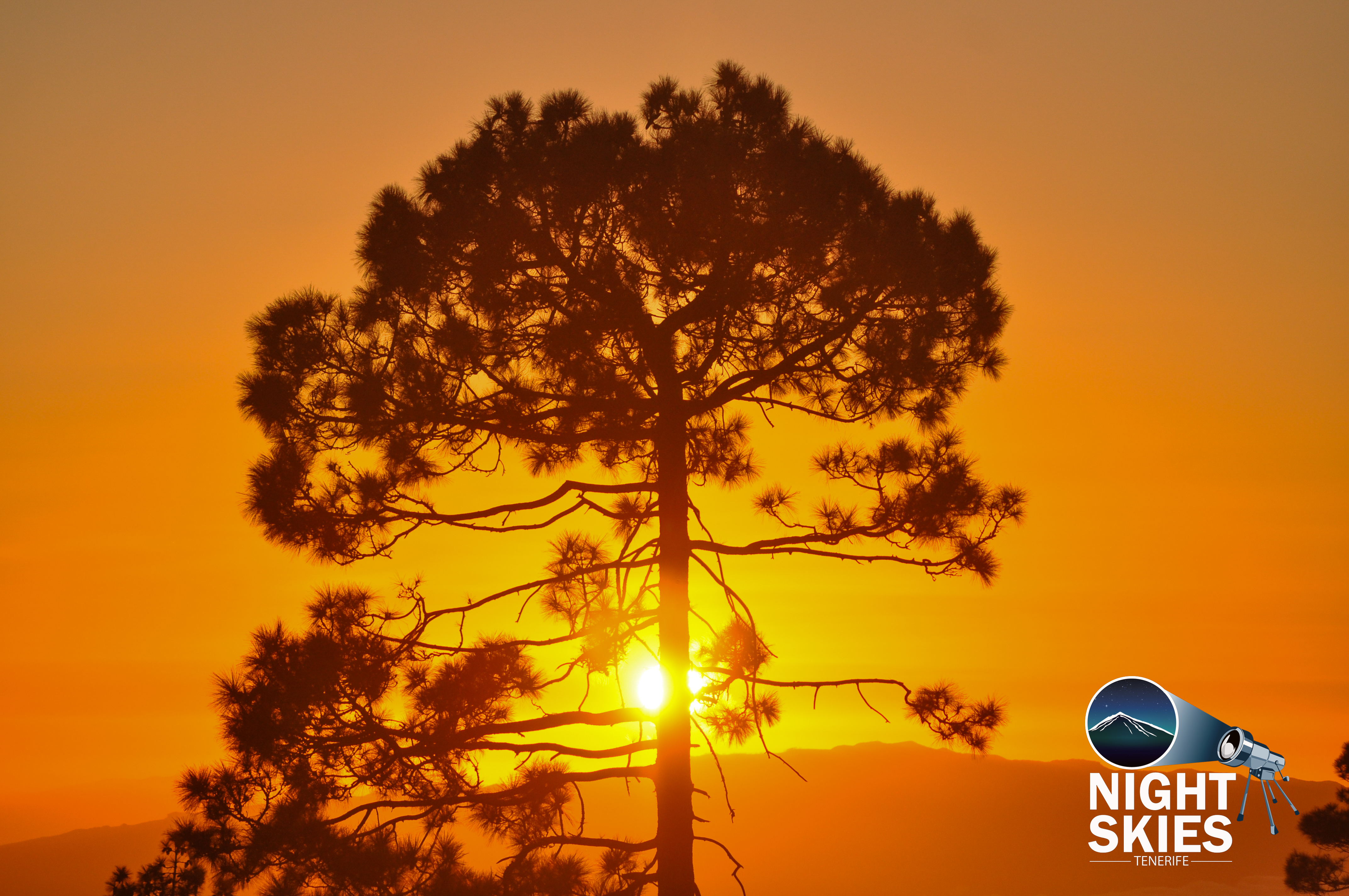 Self-Drive Tour B - Teide National Park Sunset & Stargazing Experience - No Dinner - Photo 3