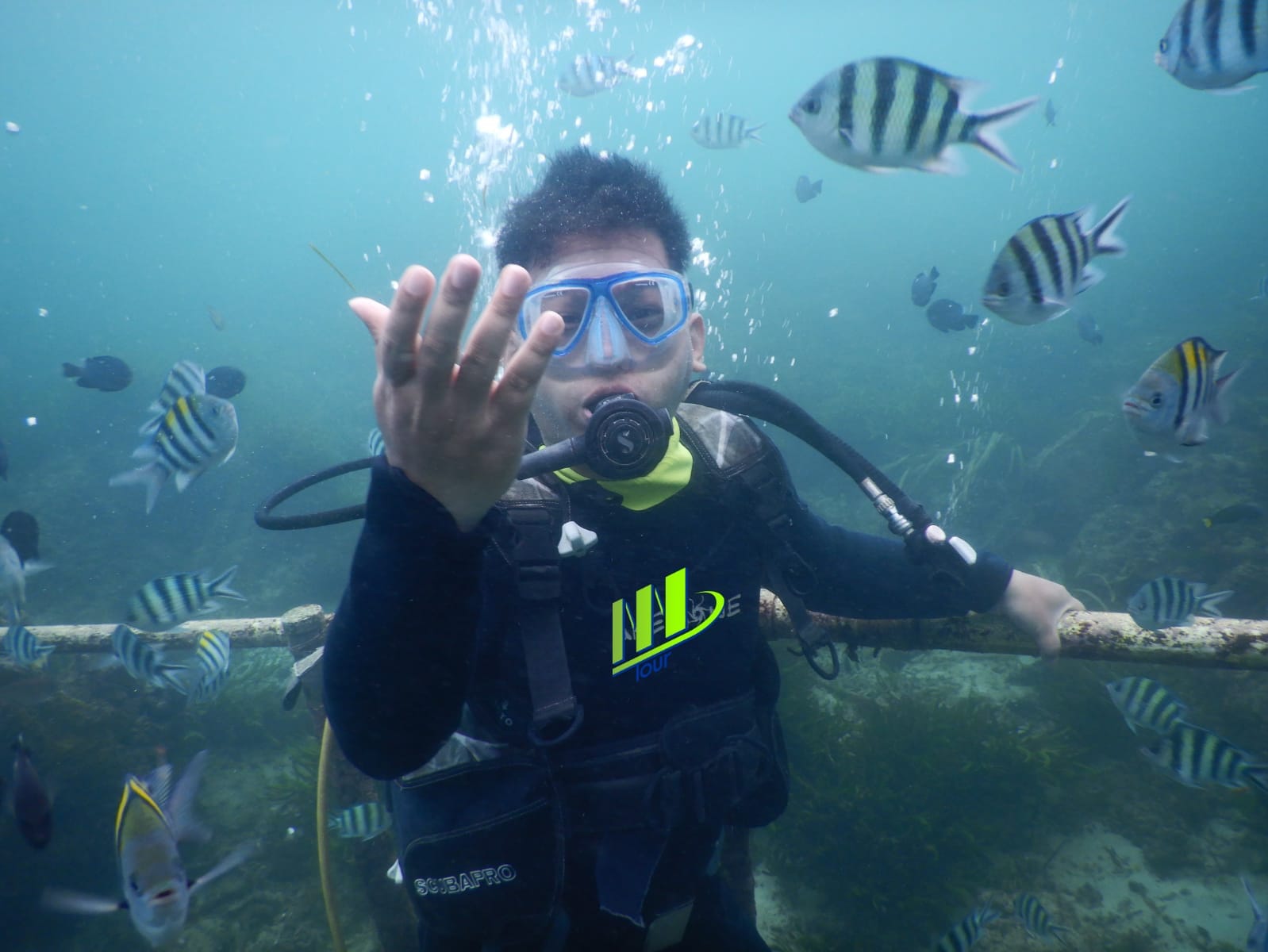 Experiencia de buceo privado en Bali en Nusa Dua - Foto 2