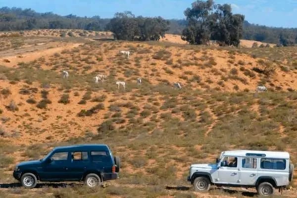 Agadir: 4WD Sahara Desert Day Trip With Lunch Couscous Tagine – photo 6
