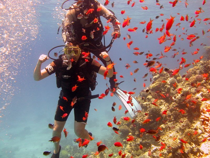 Viaje a la isla de Tiran