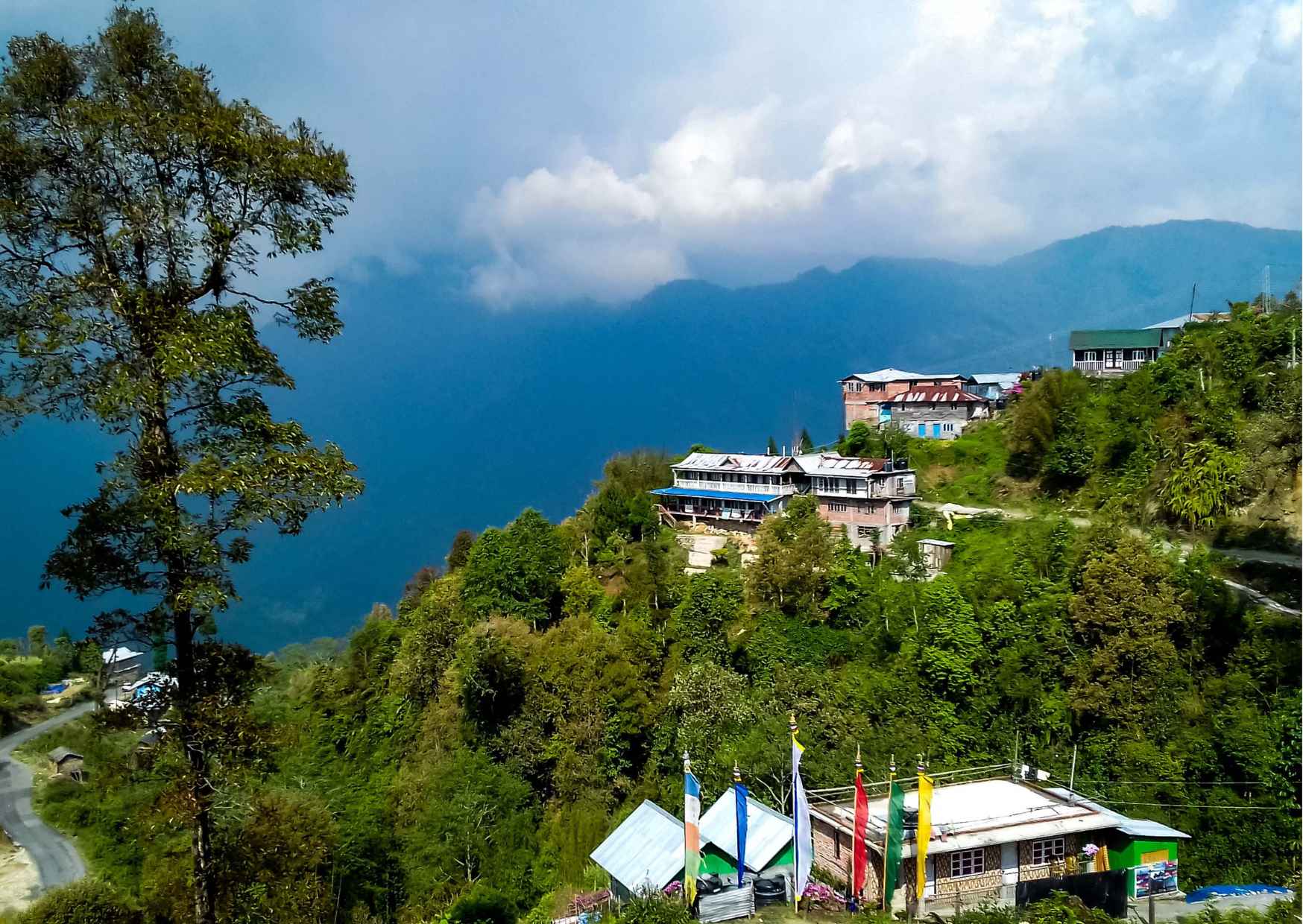 Day Trip to Kalimpong (Guided Private Sightseeing Experience from Darjeeling) - Photo 8