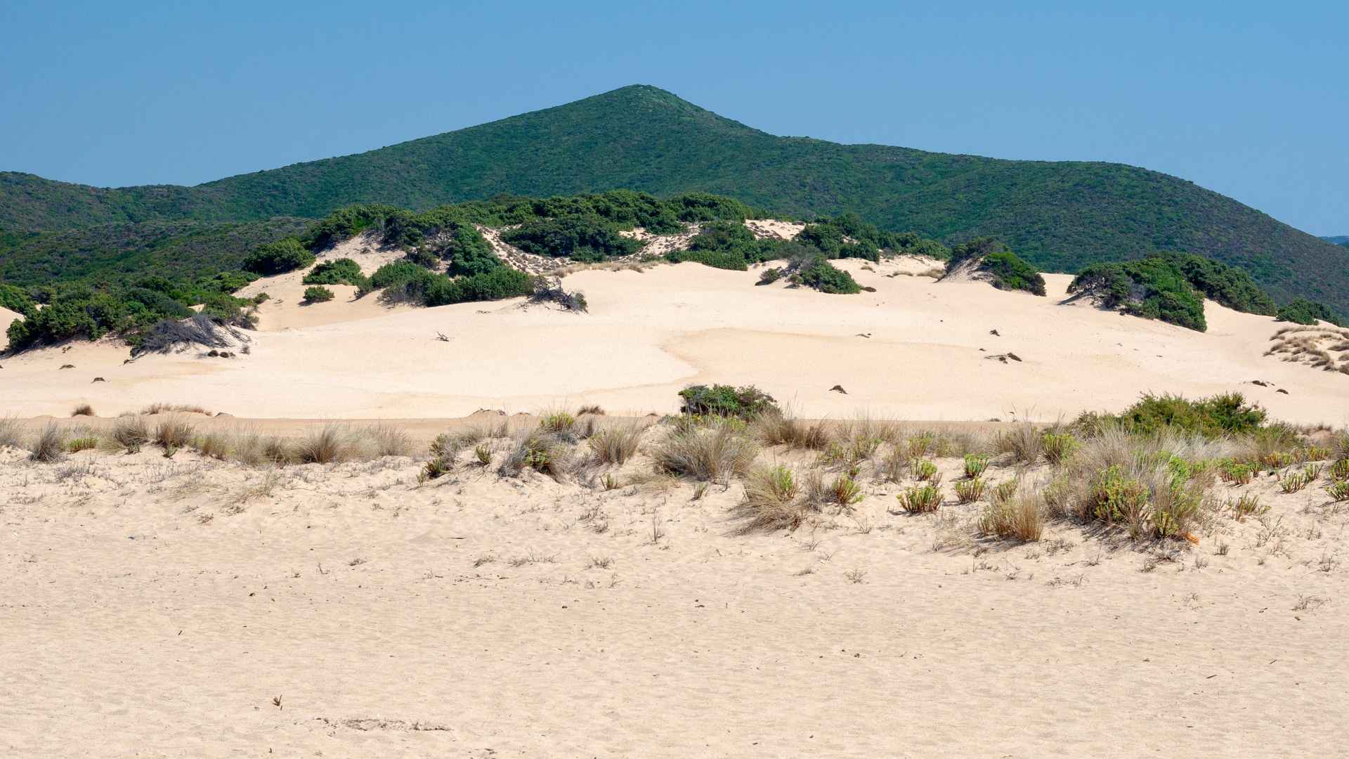 From Oristano: Costa Verde off-road trip - Photo 7