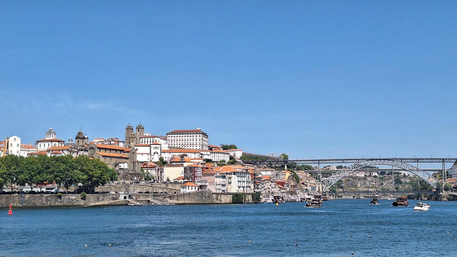 Private Porto Full-Day Tour: Cathedral, Lello and Wine Tastings - Photo 25