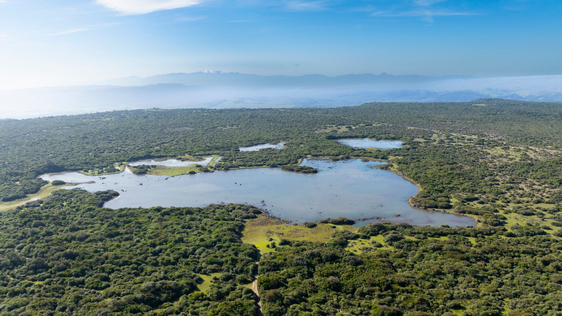 Genoni: discover the Giara Park - Photo 14