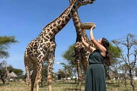 Excursión de un día al Santuario de Vida Silvestre Serval desde Arusha - Foto 2