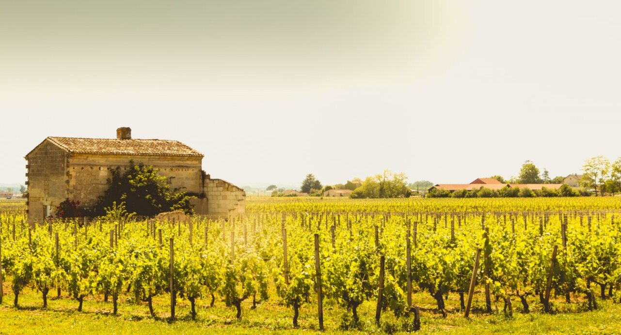 Bordeaux: St. Emilion Wine Tour with Private Shore Excursion