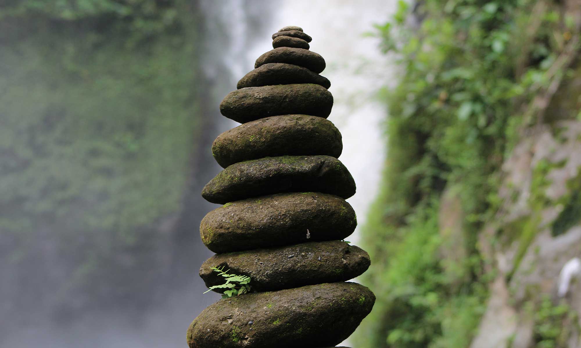 Best of Ubud : Monkey forest - Swing - Rice Terrace - Temple 