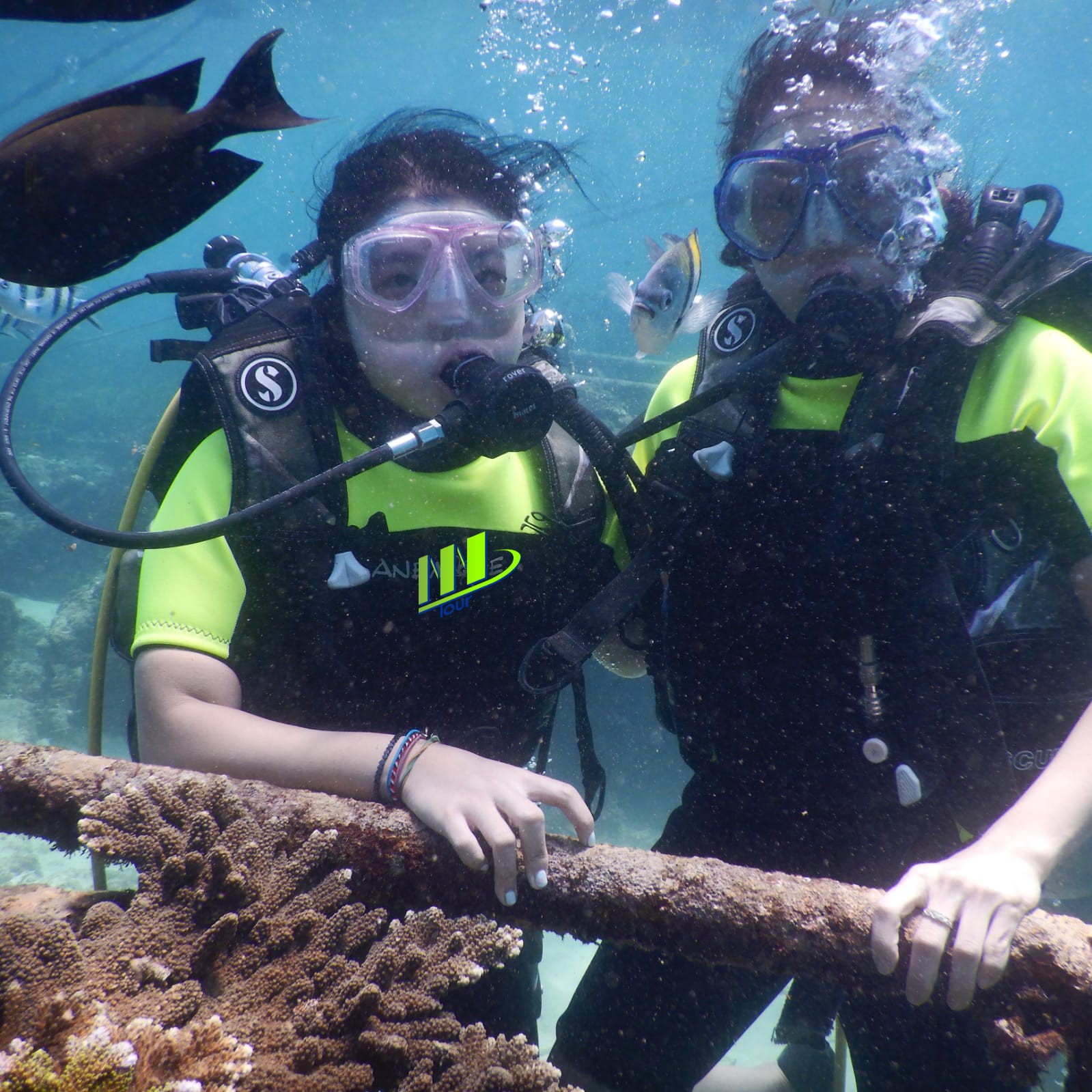Experiencia de buceo privado en Bali en Nusa Dua - Foto 5