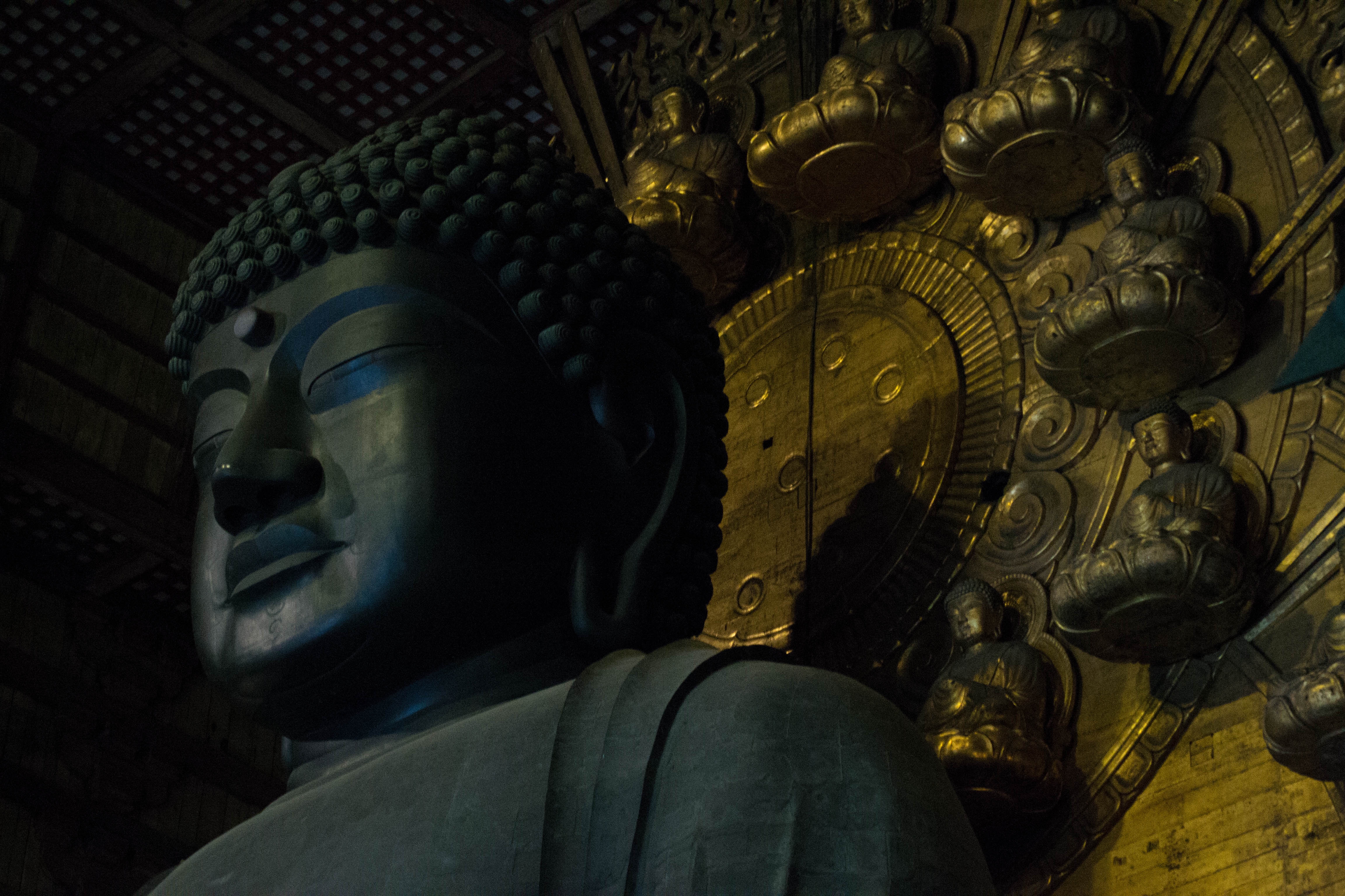 NARA & KYOTO 1 Gün Otobüs Turu