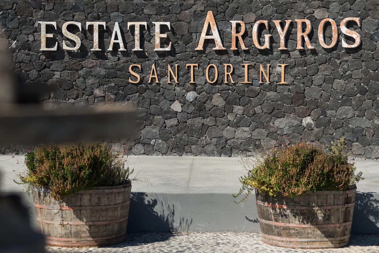 Santorini Small-Group Wine Tour: 3 Wineries, Tastings & Hotel Pickup – photo 2
