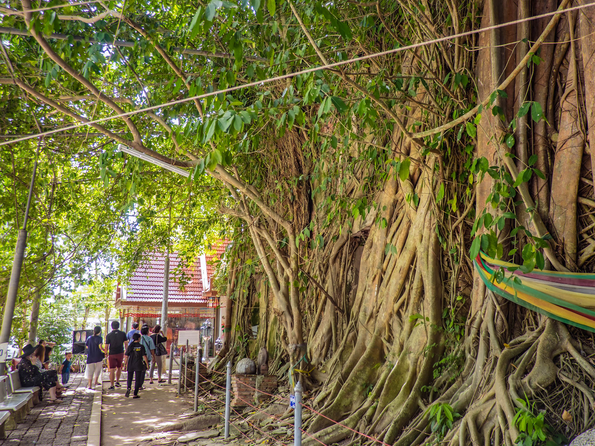 Amphawa Floating Market and Maeklong Railway Market Tour with Semiprivate or Private Option and Pickup - Accommodations in Bangkok