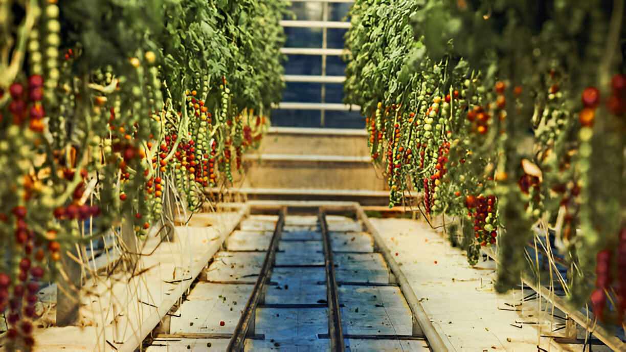 Tour del Círculo Dorado en Español en Grupo Reducido con Recogida  - Alojamientos en Reikiavik