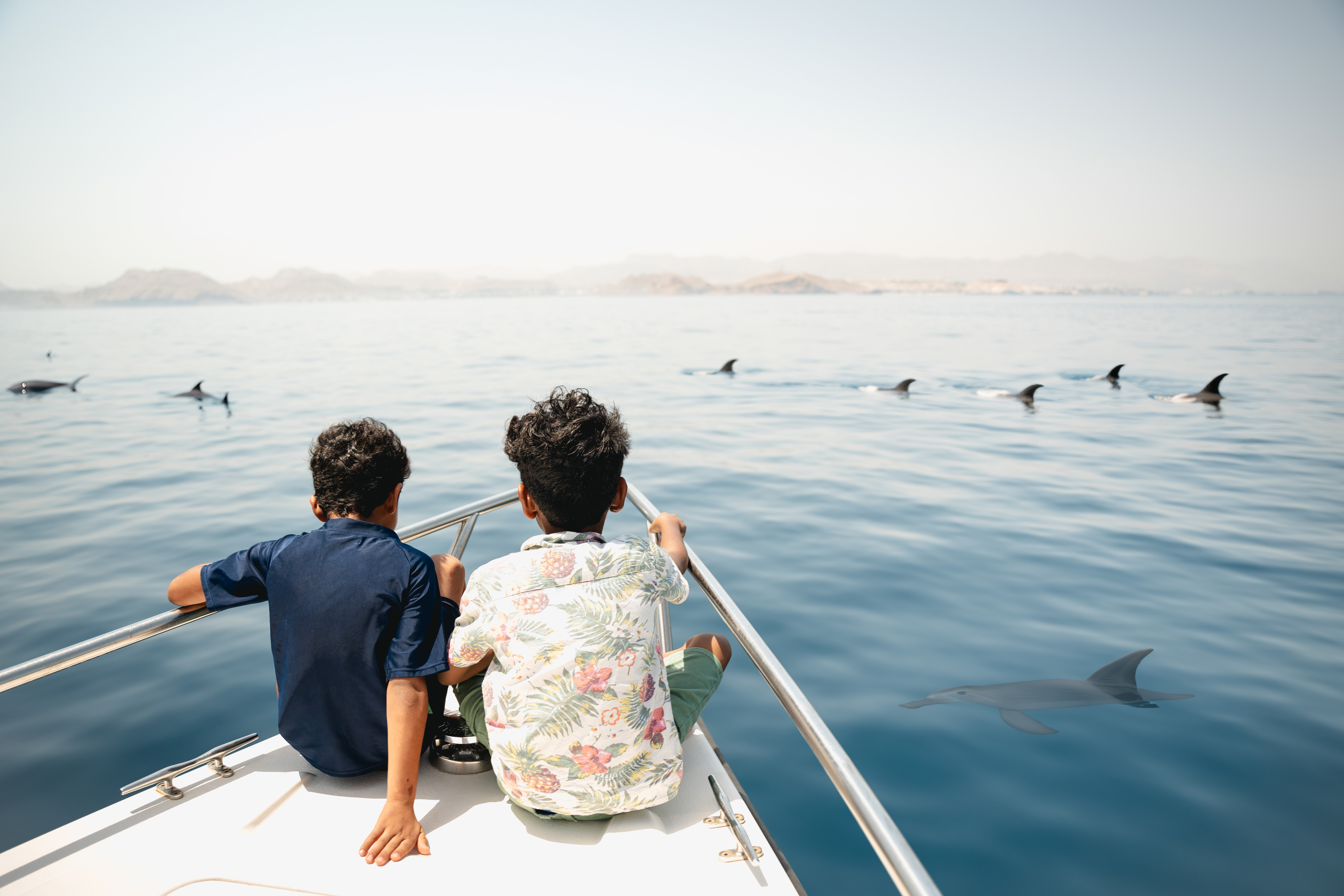 Experiencia exclusiva de navegación (observación de delfines)