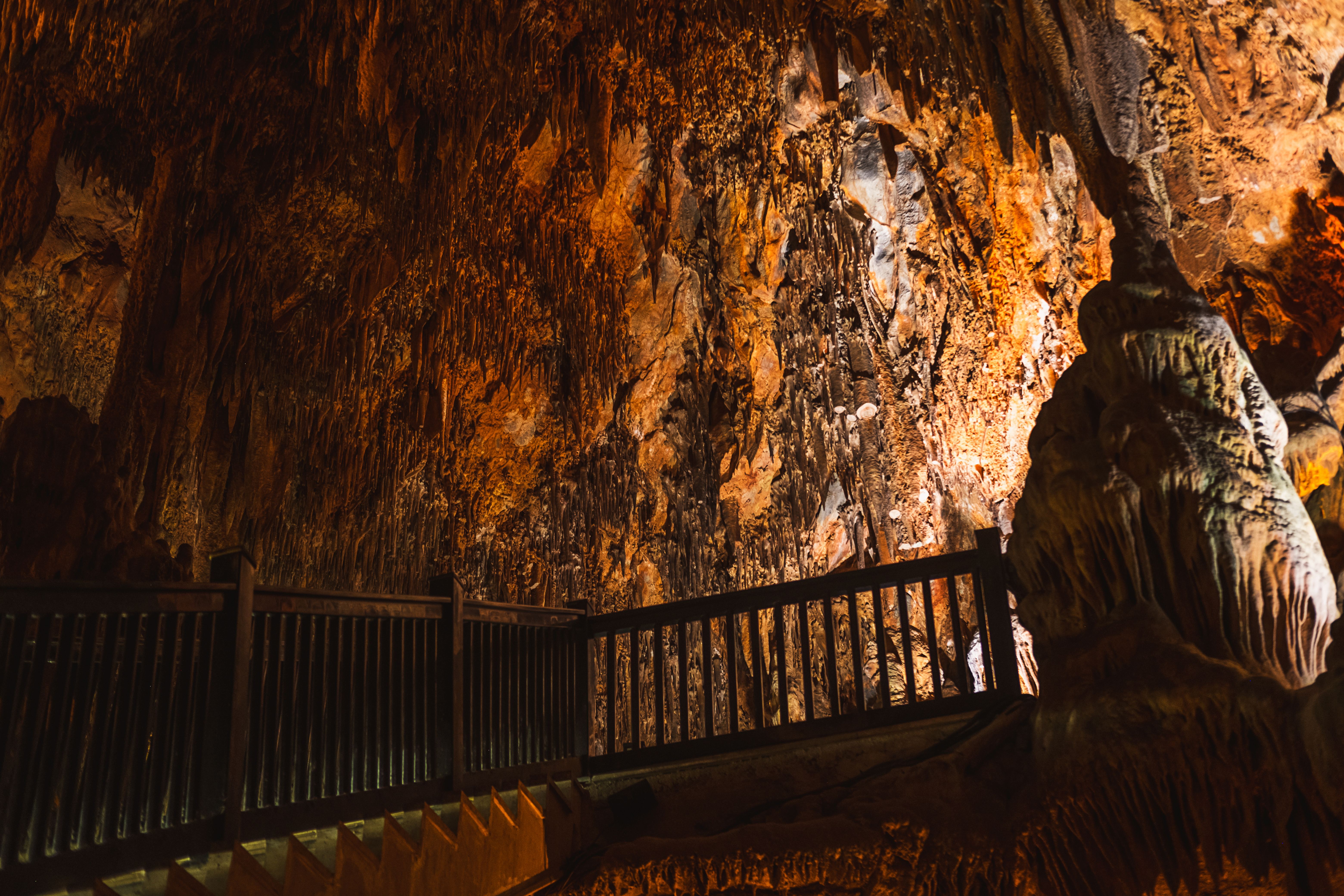 Tin-04: Aventura en la cueva del manto: exploración de los secretos de la naturaleza
