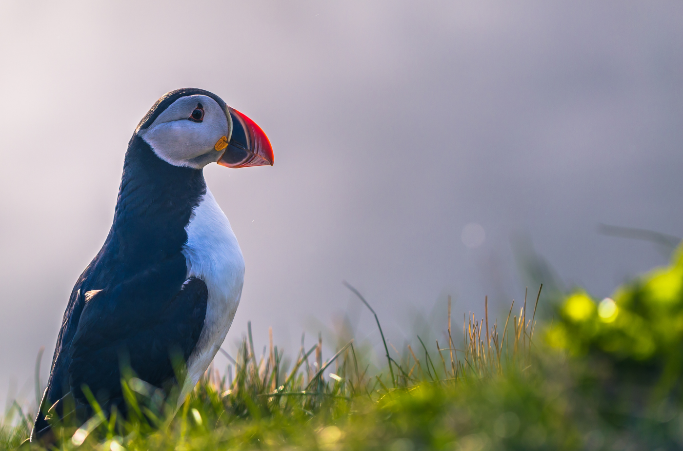 Private South Coast Adventure and Magical Viking Stories & Dinner - photo 11