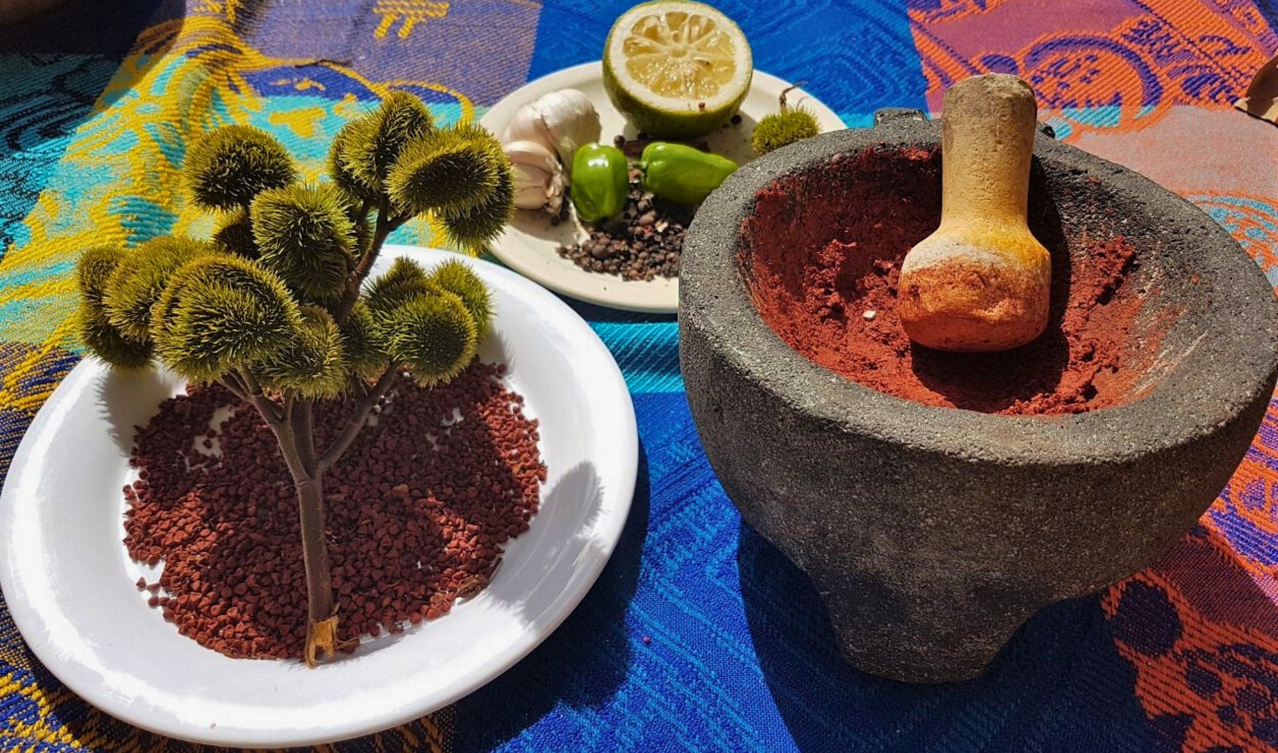 Tulum'dan Chichen Itza Cenote ve Maya Mutfağı Turu