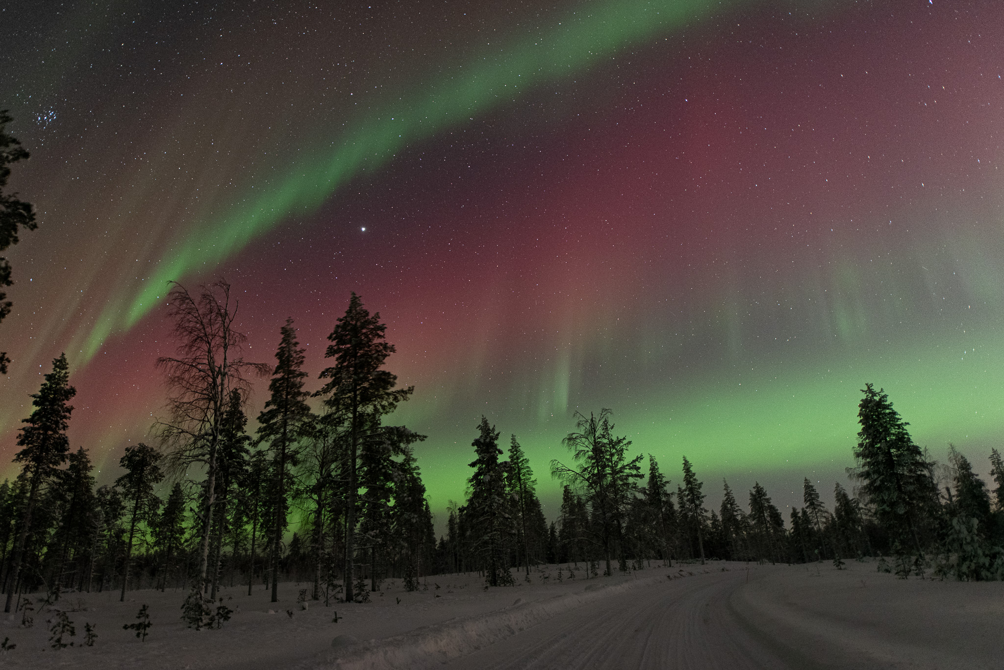 Caza de Auroras con Fotografía y Recogida en Grupo Reducido con Garantía de Avistamiento* - Alojamientos en Rovaniemi