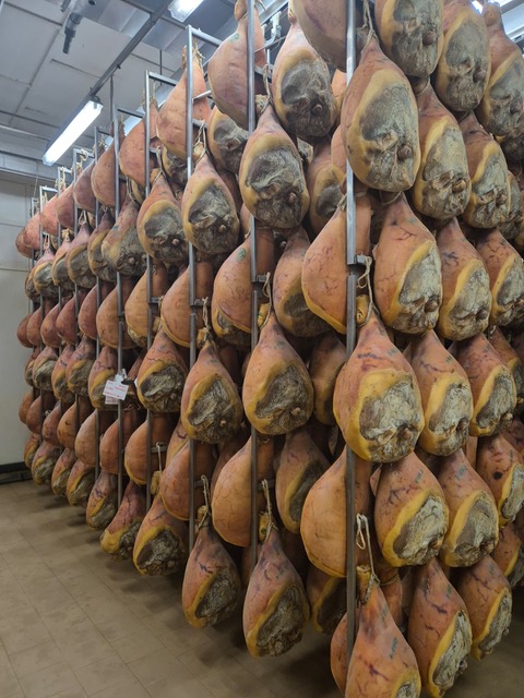 Emilia-Romagna's Typical products Tasting Tour from Parma 