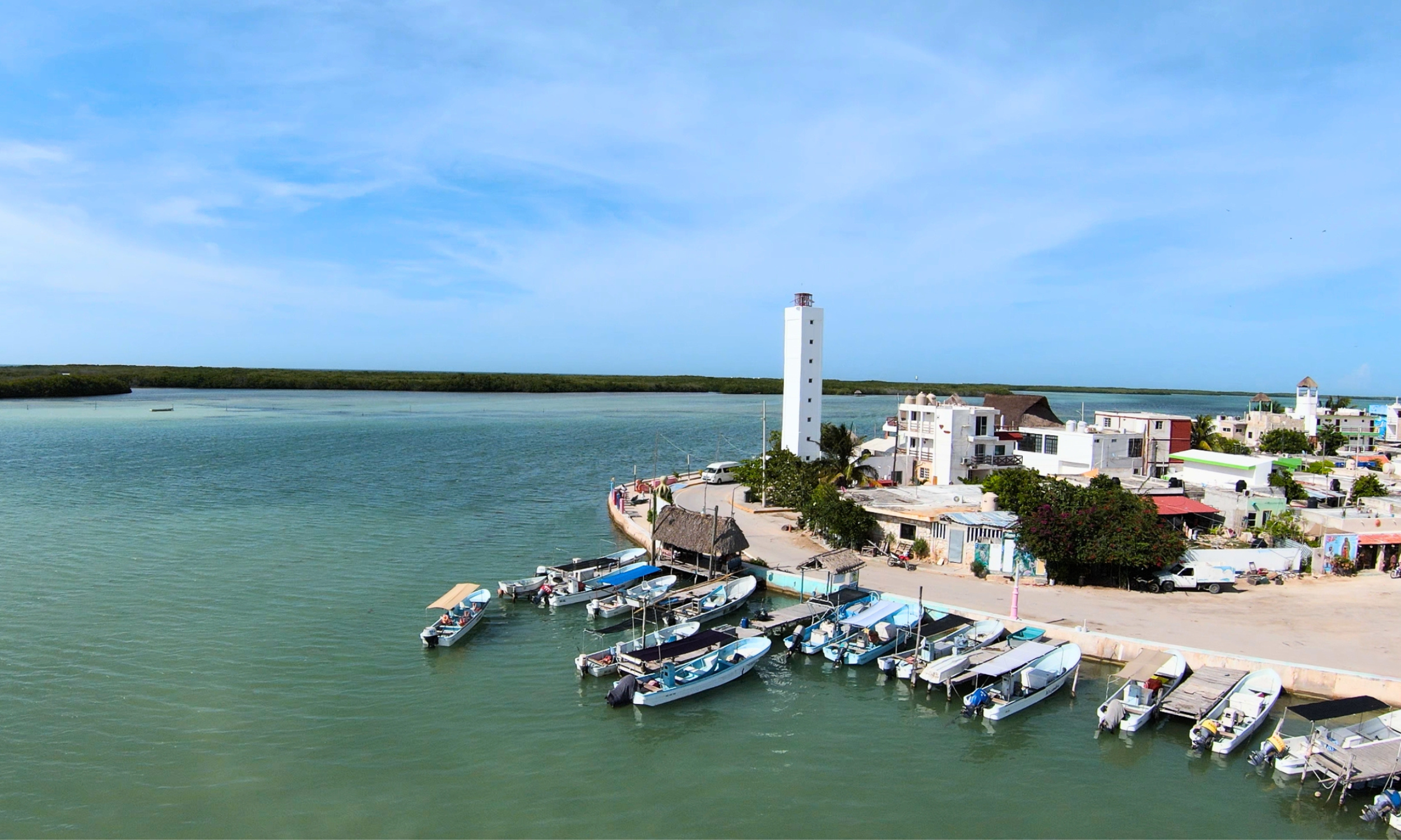 Desde Cancún: Rio Lagartos & Las Coloradas — 10/16