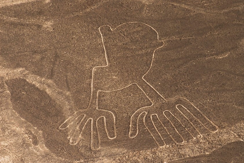 Naz-01: Líneas de Nazca - Odisea mística desde el cielo - Foto 4