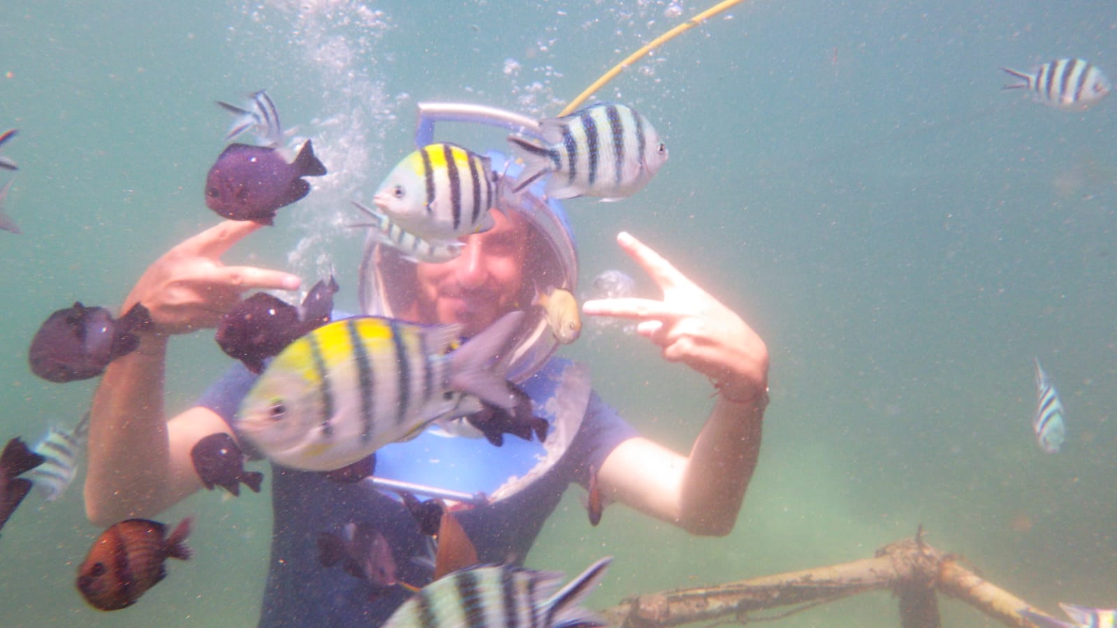 Half Day Guided Underwater Sea Walk Experience in Nusa Dua – photo 6