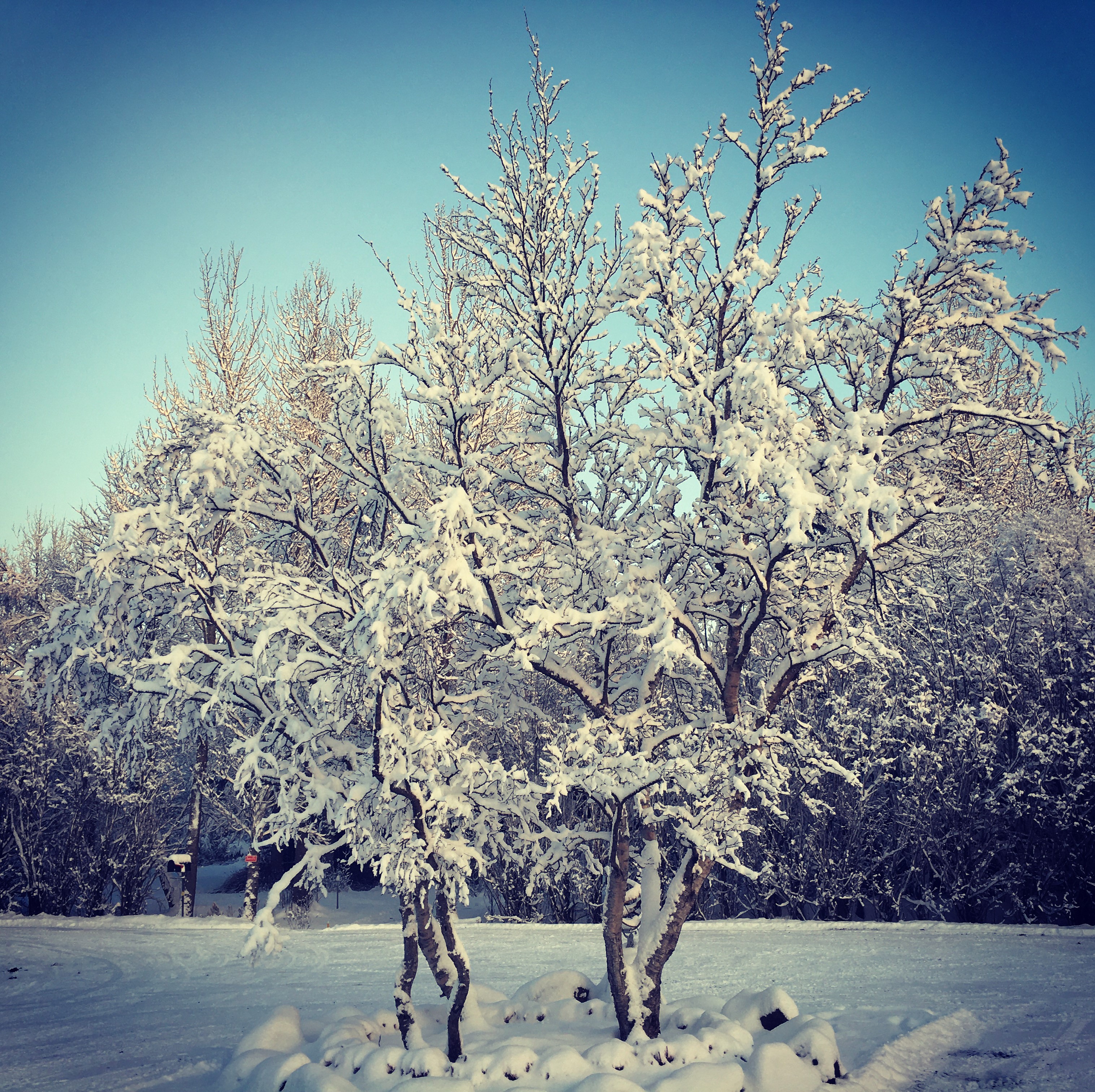 Private Golden Circle & Kerið Crater - photo 4