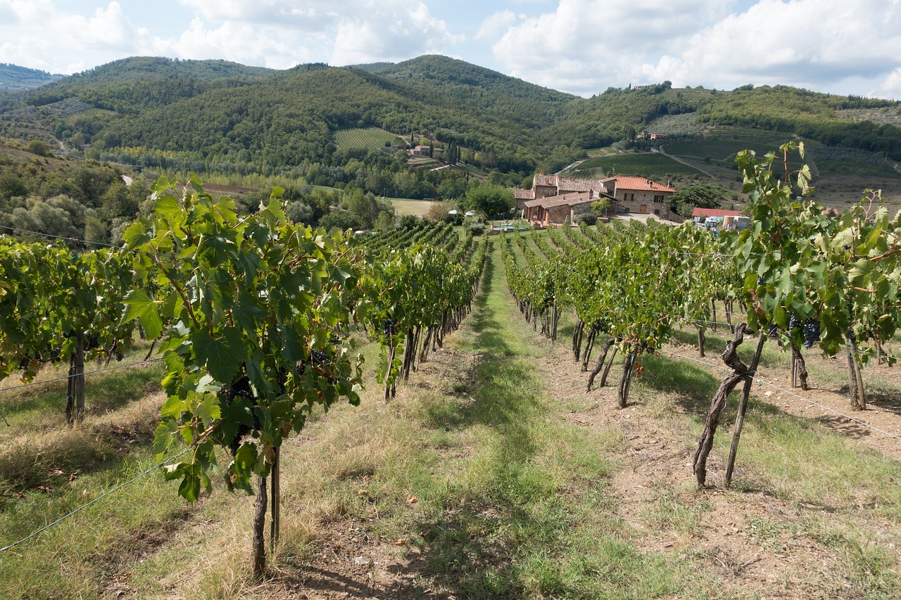 Gems of Tuscany & Cinque Terre | Premium Independent Tour including small-group excursions | 8days/7nights - Photo 20
