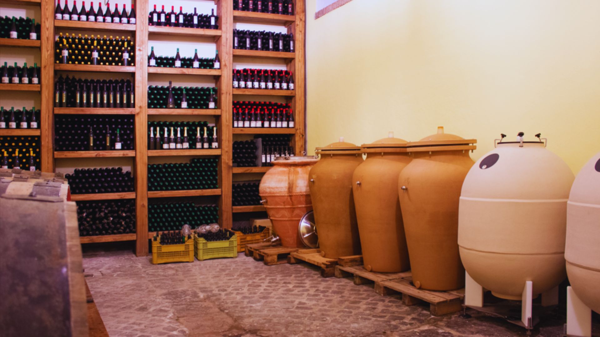 Naples: winery tour and wine tasting on Astroni crater - Photo 14