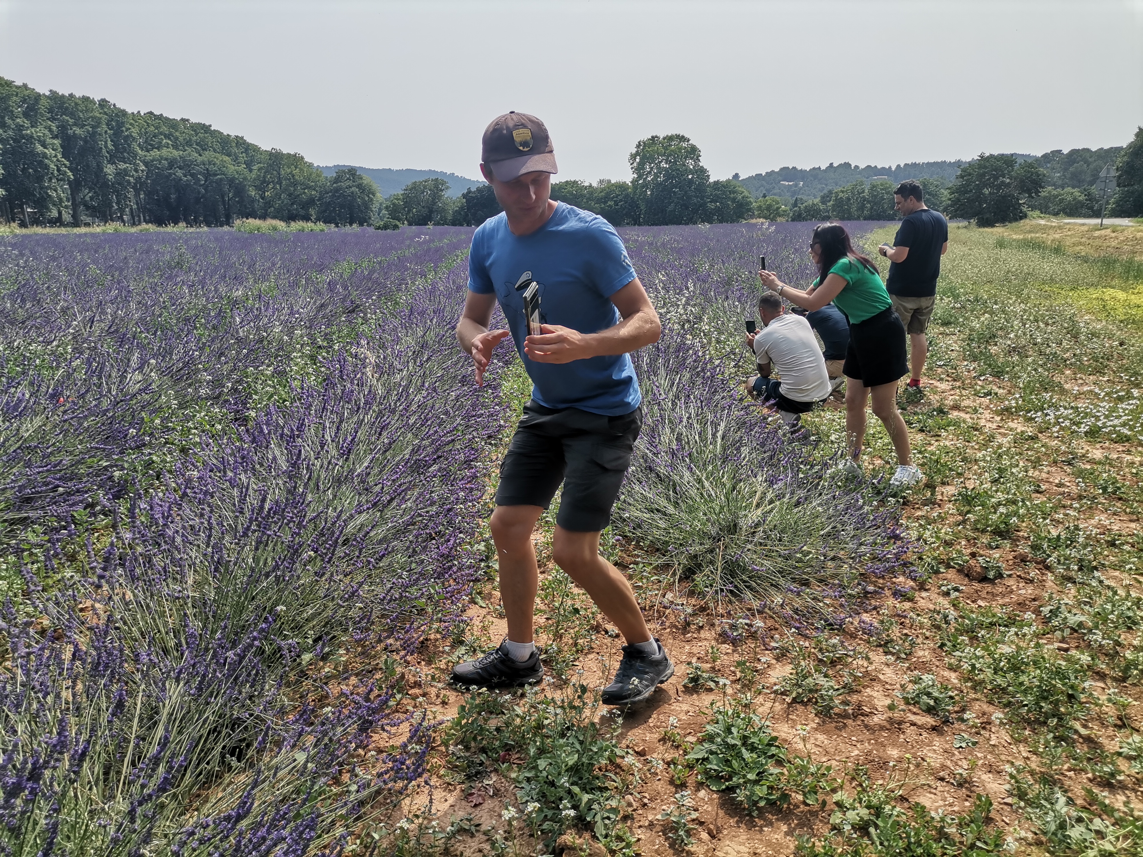 Live a real and unique experience in a lavender field - Photo 9