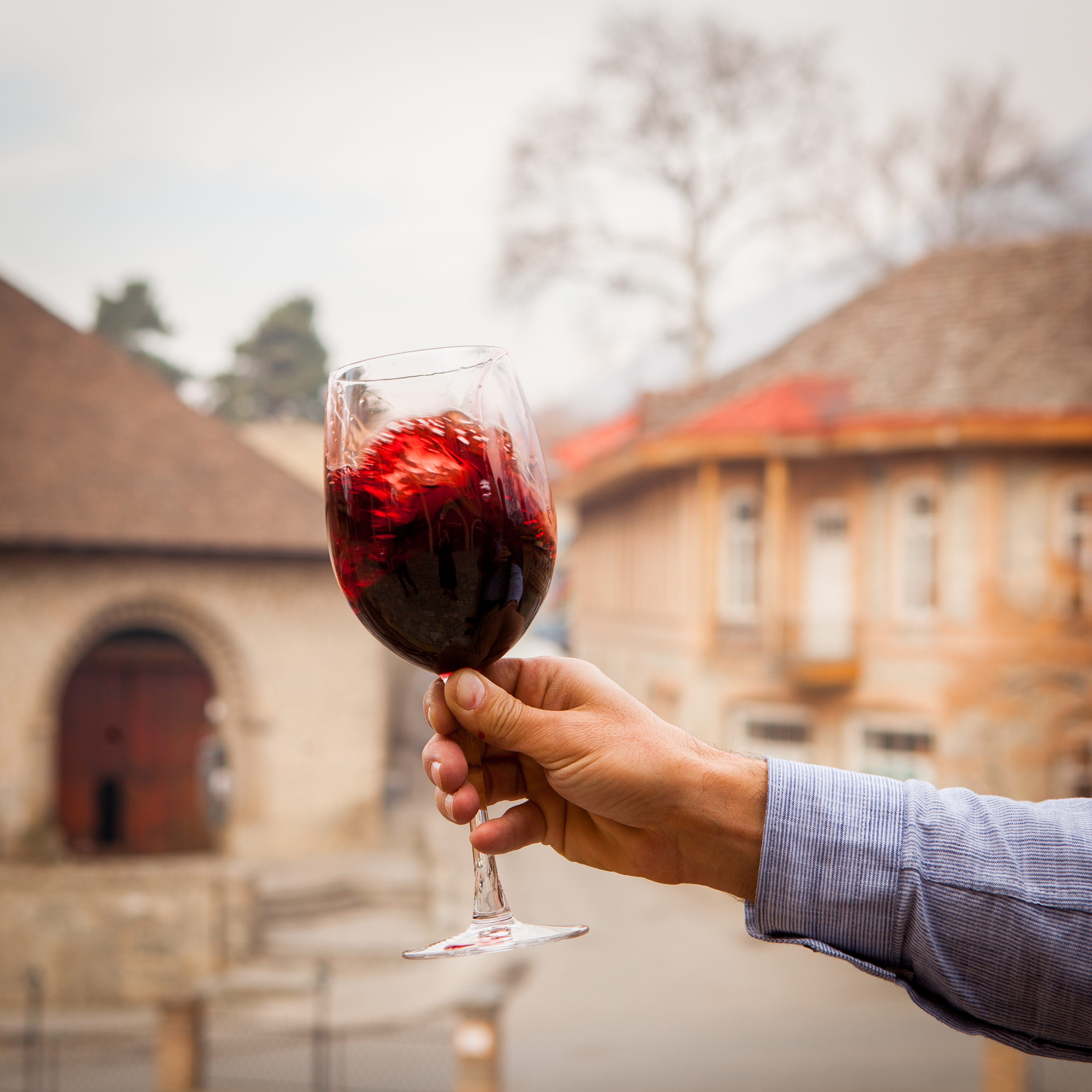 Day Trip Delights: Private Etyek Wine Tour & Budapest Danube Evening Cruise from Budapest Day Trip Delights: Private Etyek Wine Tour & Budapest Danube Evening Cruise from Budapest