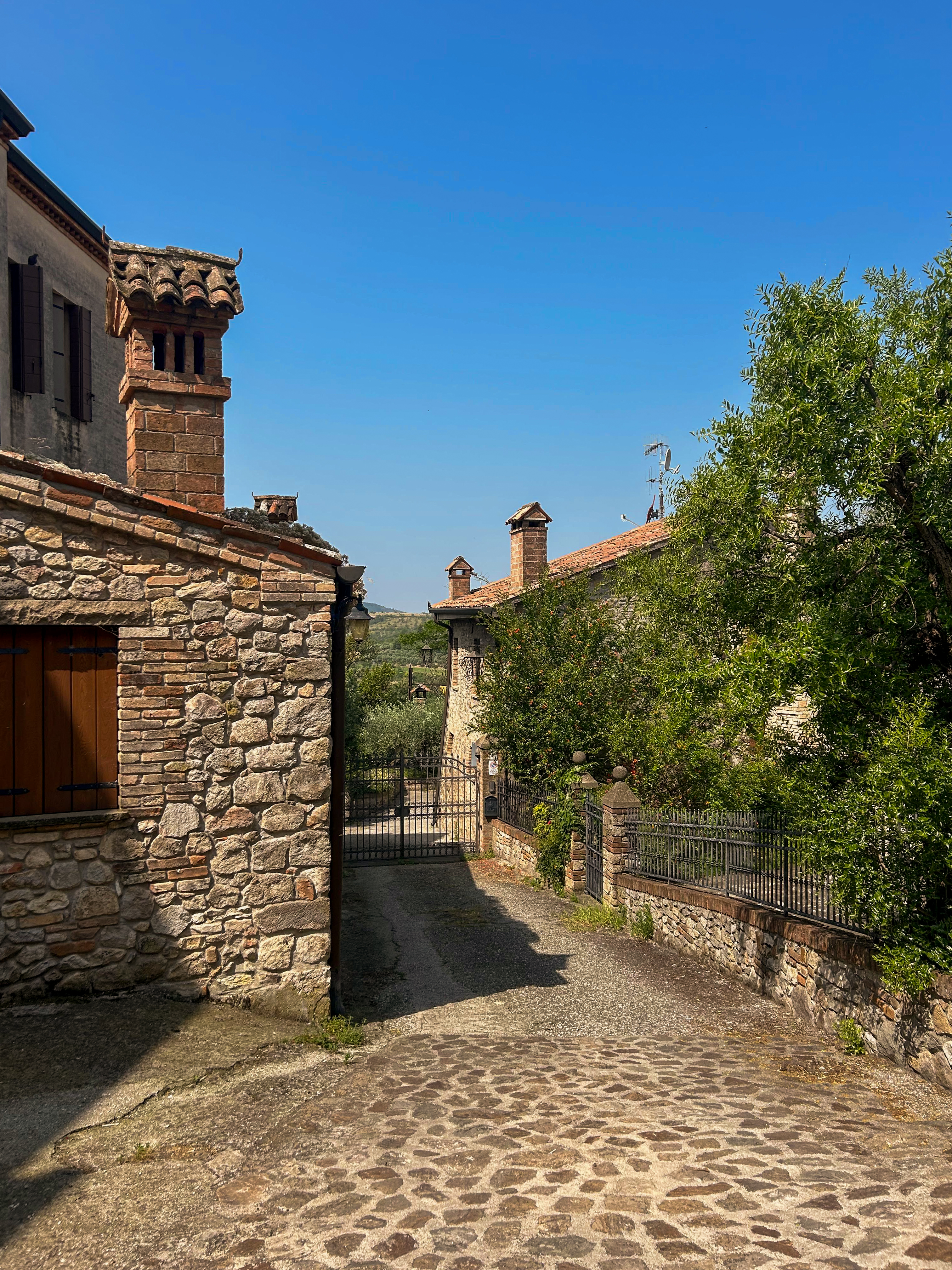 From Padua: Tour to Arquà Petrarca medieval village  - Photo 10
