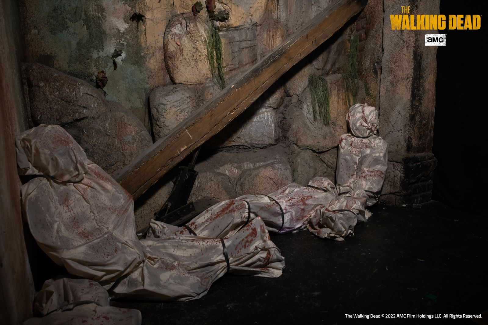 Mirabilandia Amusement Park - Entry ticket for OPEN date - Photo 22