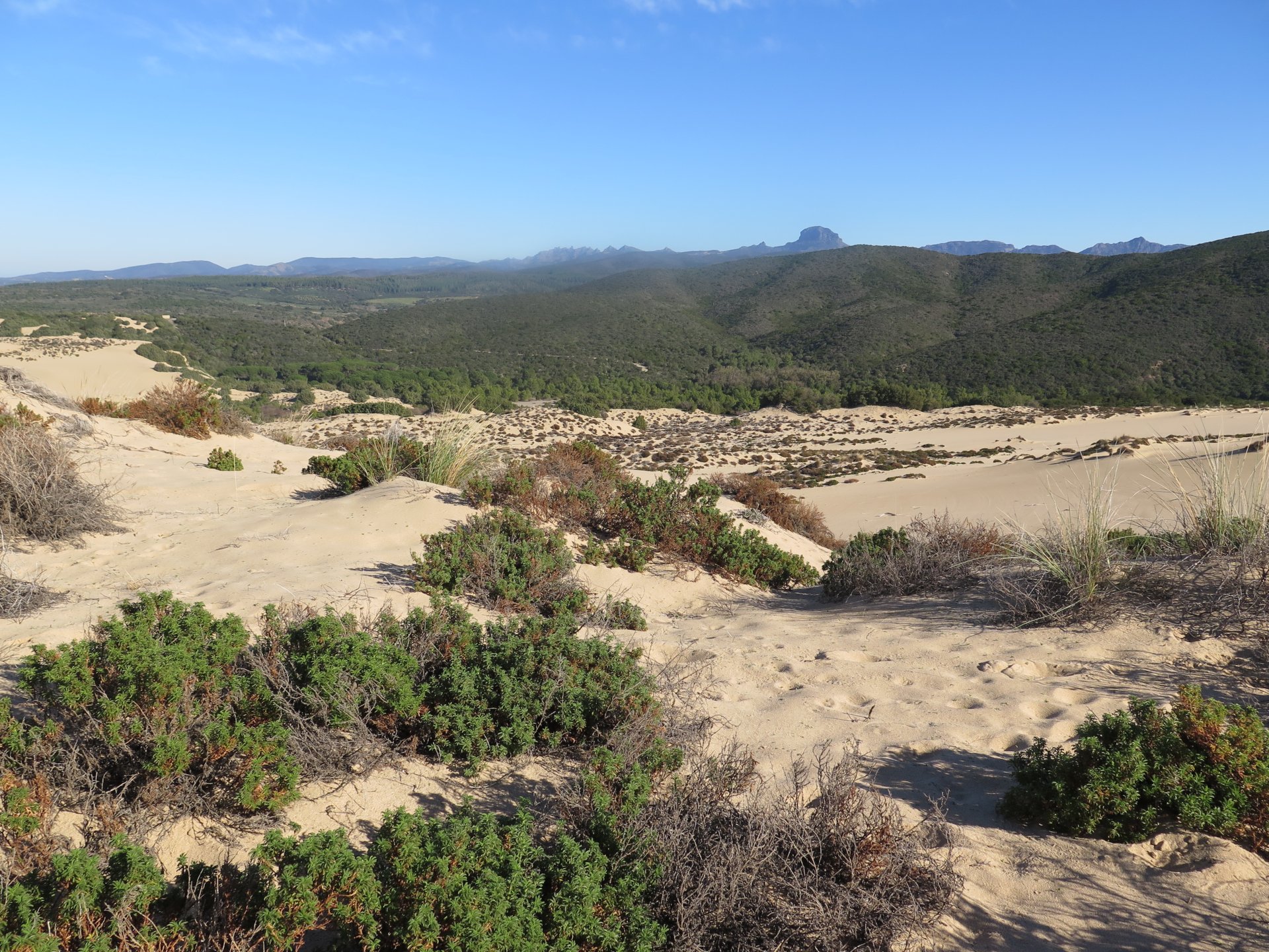 From Cagliari: guided tour through the mines and dunes of Piscinas - Photo 16